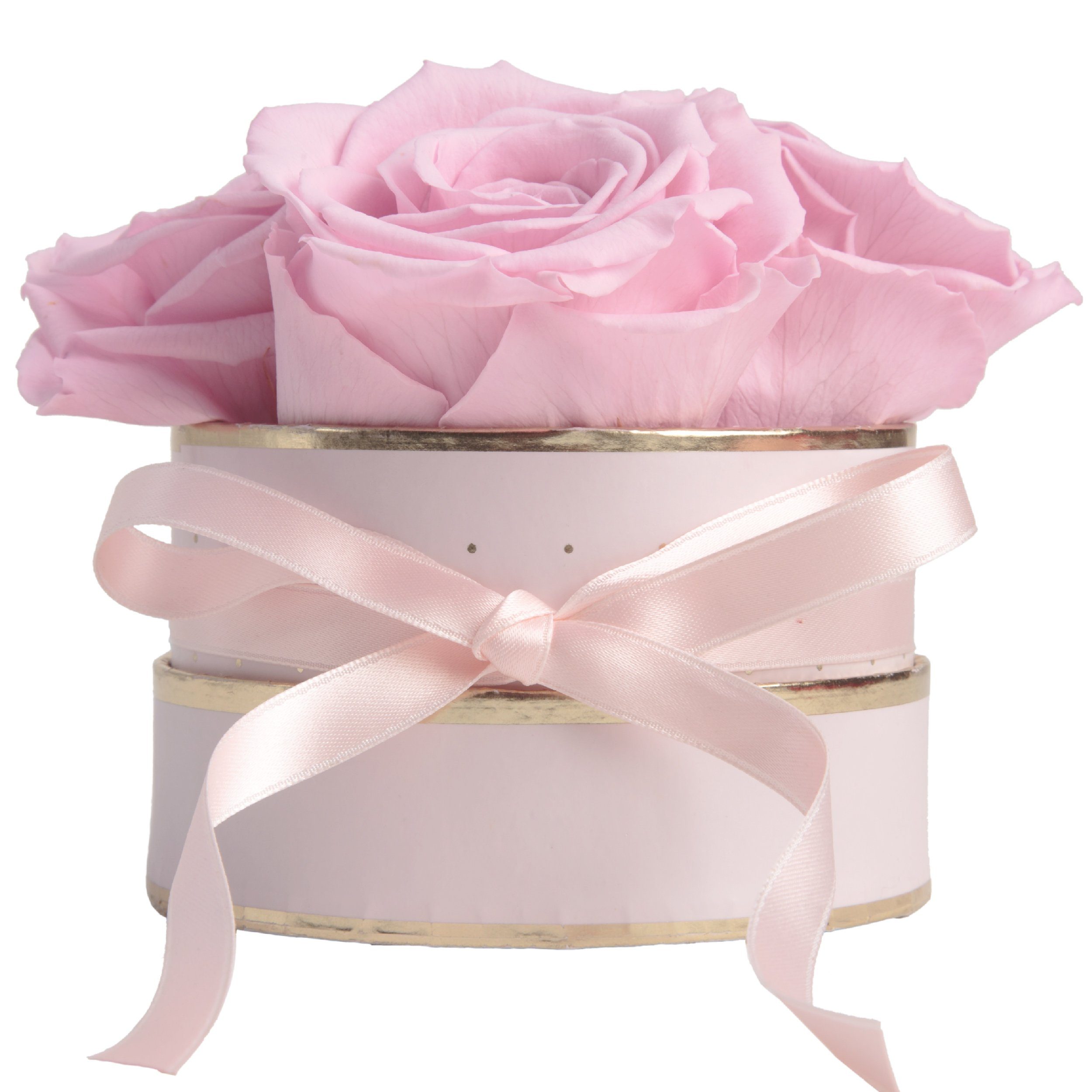 Kunstblume Infinity Rosenbox rosa rund 4 konservierte Rosen Geschenk für Frauen Rose, ROSEMARIE SCHULZ Heidelberg, Höhe 10 cm, echte konservierte Rosen