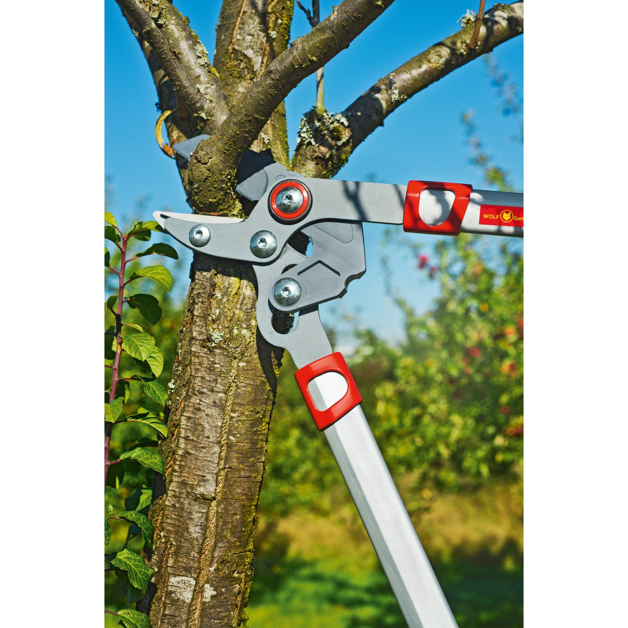 WOLF-Garten Baumschere WOLF-Garten Amboss-Astschere Power Cut günstig online kaufen