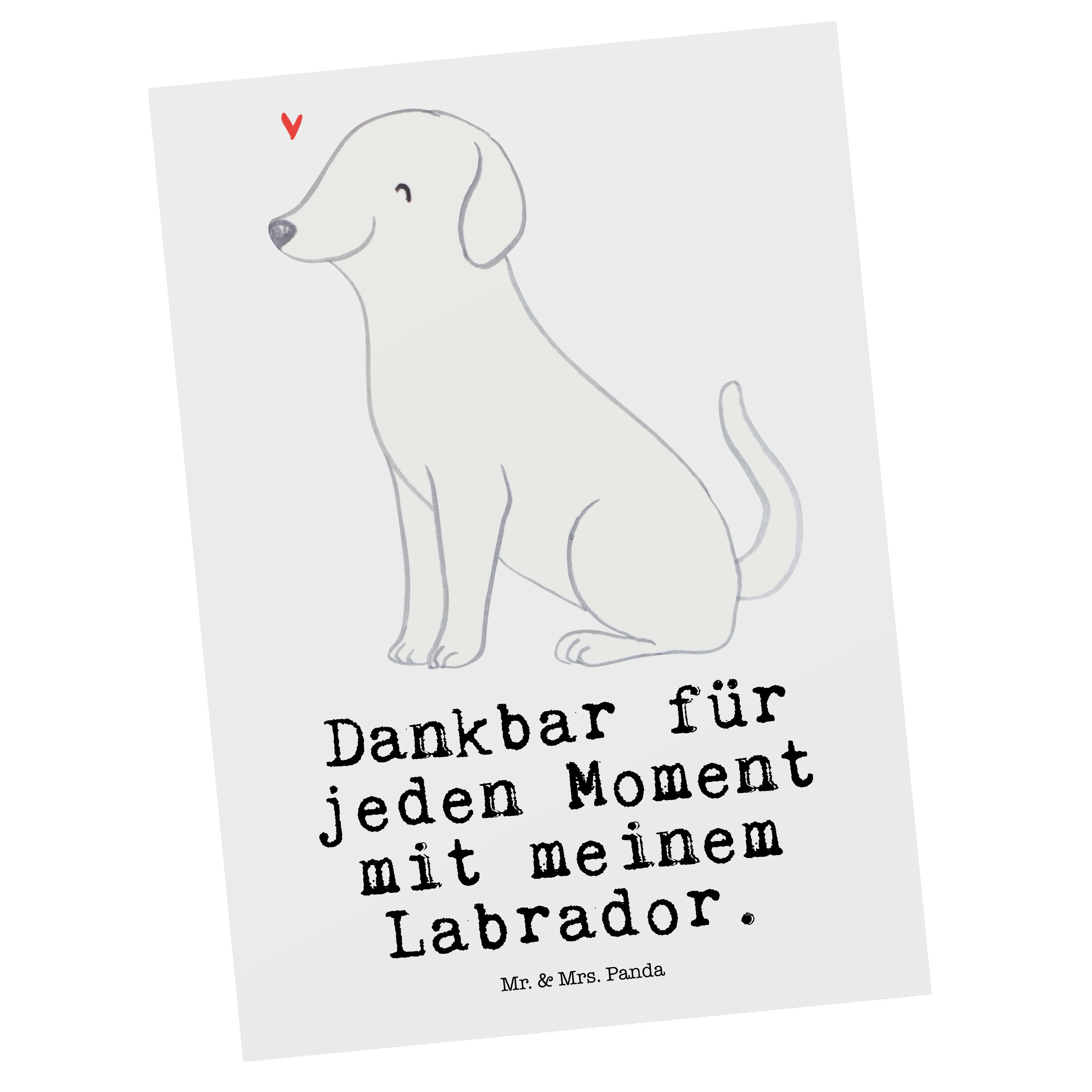 Mr. & Mrs. Panda Postkarte Labrador Moment - Weiß - Geschenk, Hund, Grußkarte, Dankeskarte, Ansi