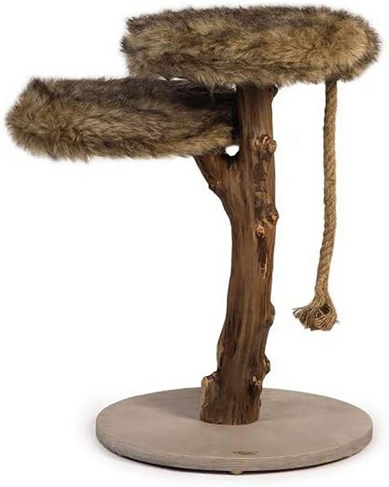 Thumbnail - DOTMALL Katzenliege Entworfen von Lotte Scratch Furniture „Aviva“ Holz