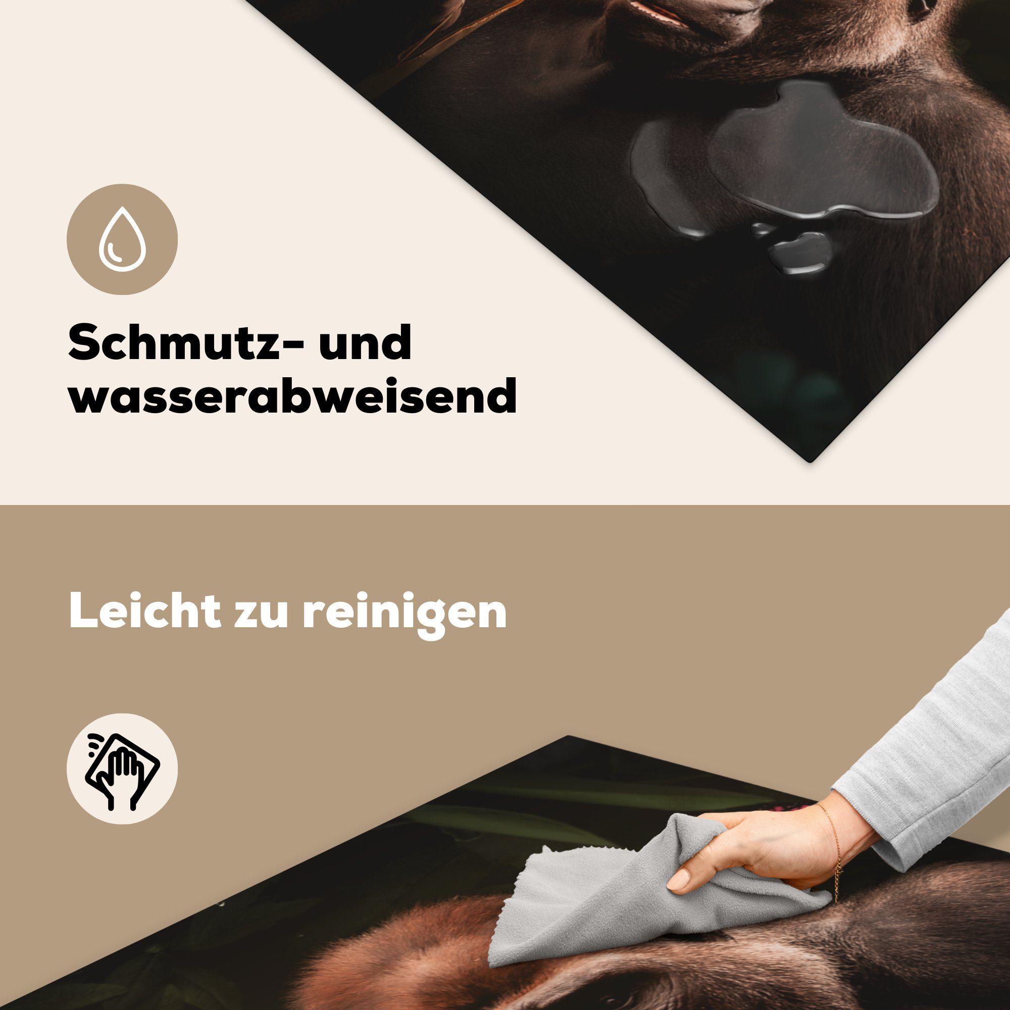 Affe (1 Ceranfeldabdeckung, Vinyl, Tiere für cm, - MuchoWow Herdblende-/Abdeckplatte - Gorilla, küche tlg), 78x78 Arbeitsplatte