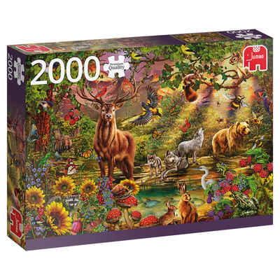 Jumbo Spiele Puzzle 18868 Magischer Wald bei Sonnenuntergang, 2000 Puzzleteile