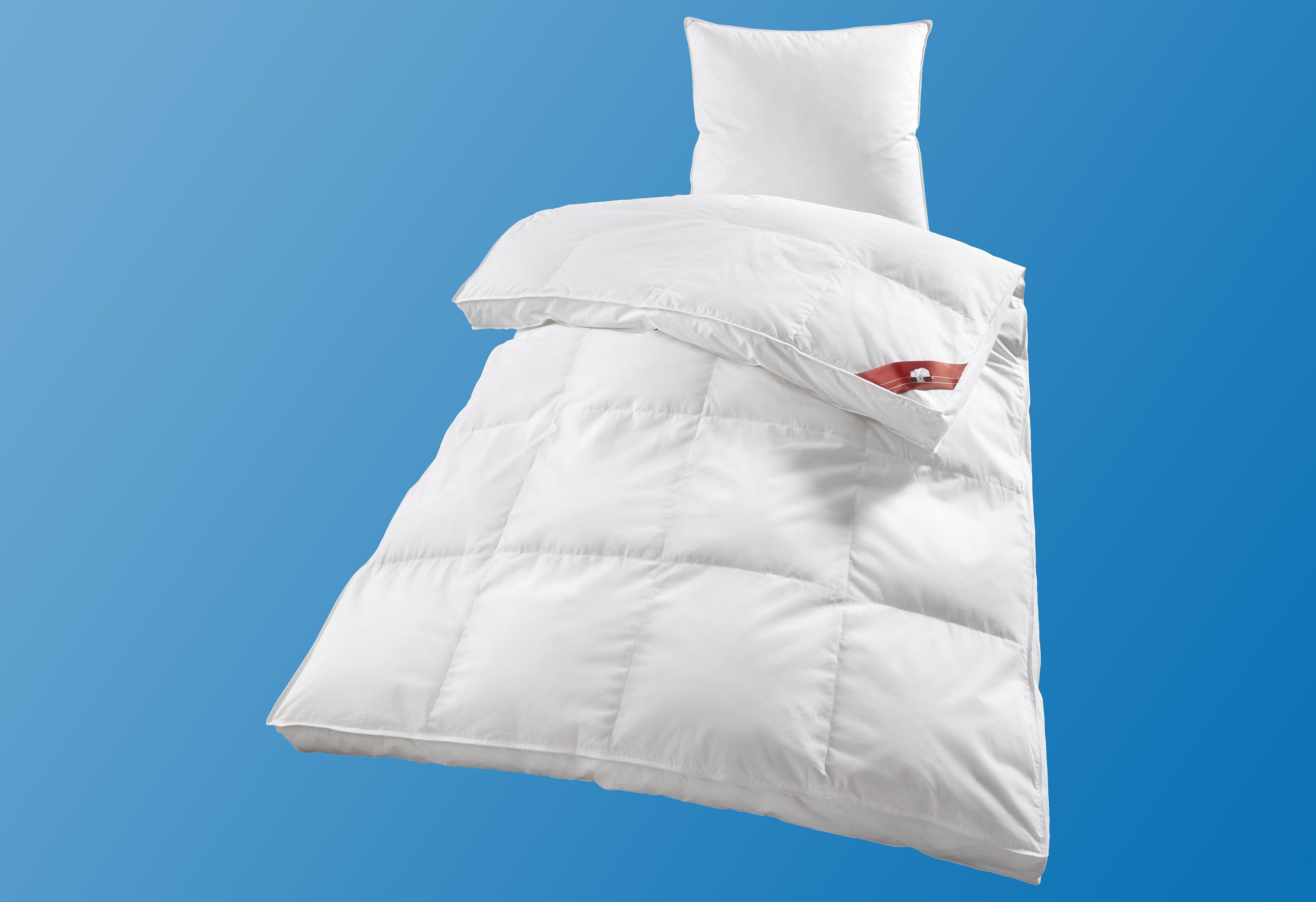 RIBECO Daunenbettdecke Emily, Füllung: 80% Daunen und 20% Federn, Bezug: 10 günstig online kaufen
