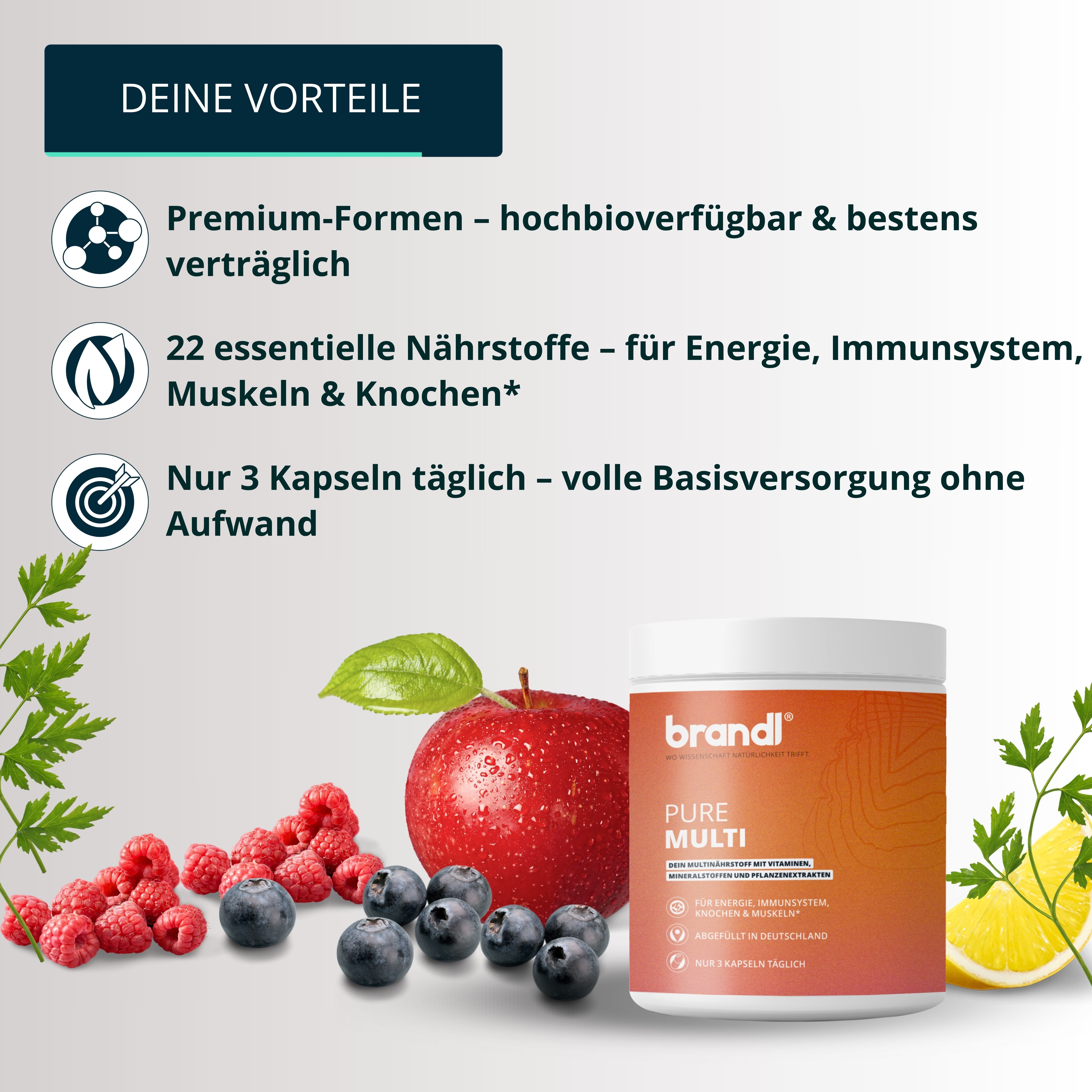 Brandl Nutrition Multivitamin Kapseln hochdosiert - Vitamine, Mineralien & vegan Kapseln, 135 g, Vitamin Supplements - Pure Multivitamin Kapseln - Premium