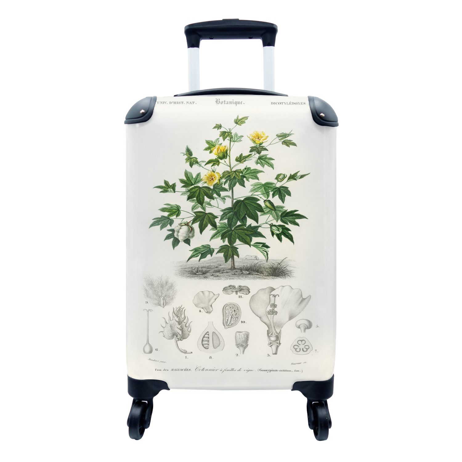 MuchoWow Handgepäckkoffer Pflanze - Blume - Botanik, 4 Rollen, Reisetasche mit rollen, Handgepäck für Ferien, Trolley, Reisekoffer