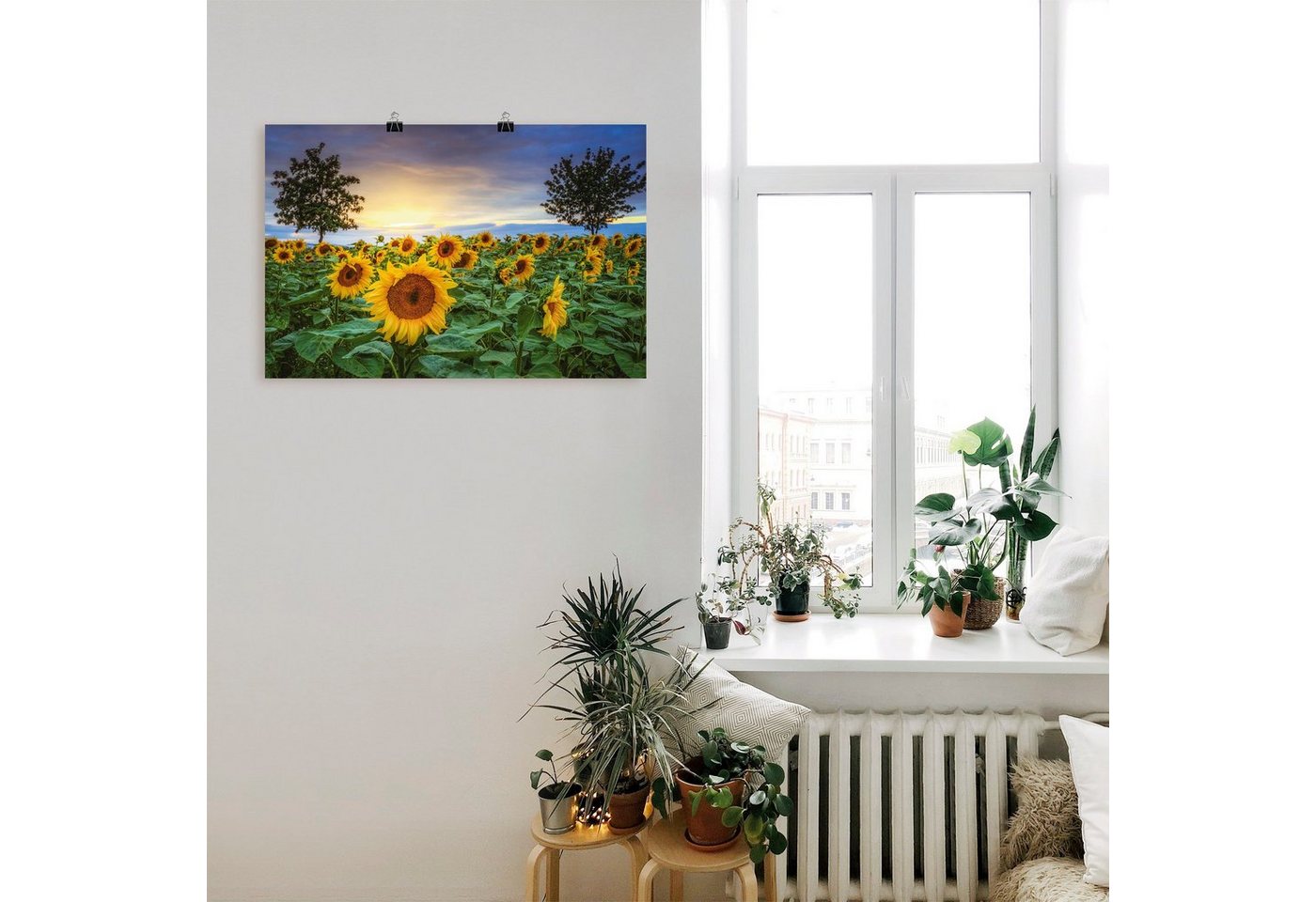 Artland Wandbild »Sonnenblumen IV«, Blumen (1 Stück)-kaufen