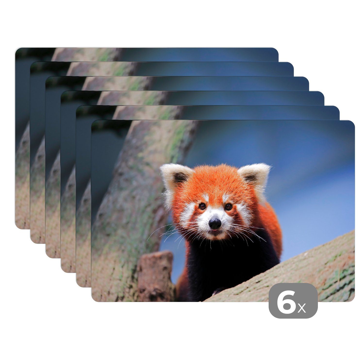 Platzset, Roter Panda - Orange - Baum, MuchoWow, (6-St), Platzset, Platzdecken, Platzmatte, Tischmatten, Schmutzabweisend