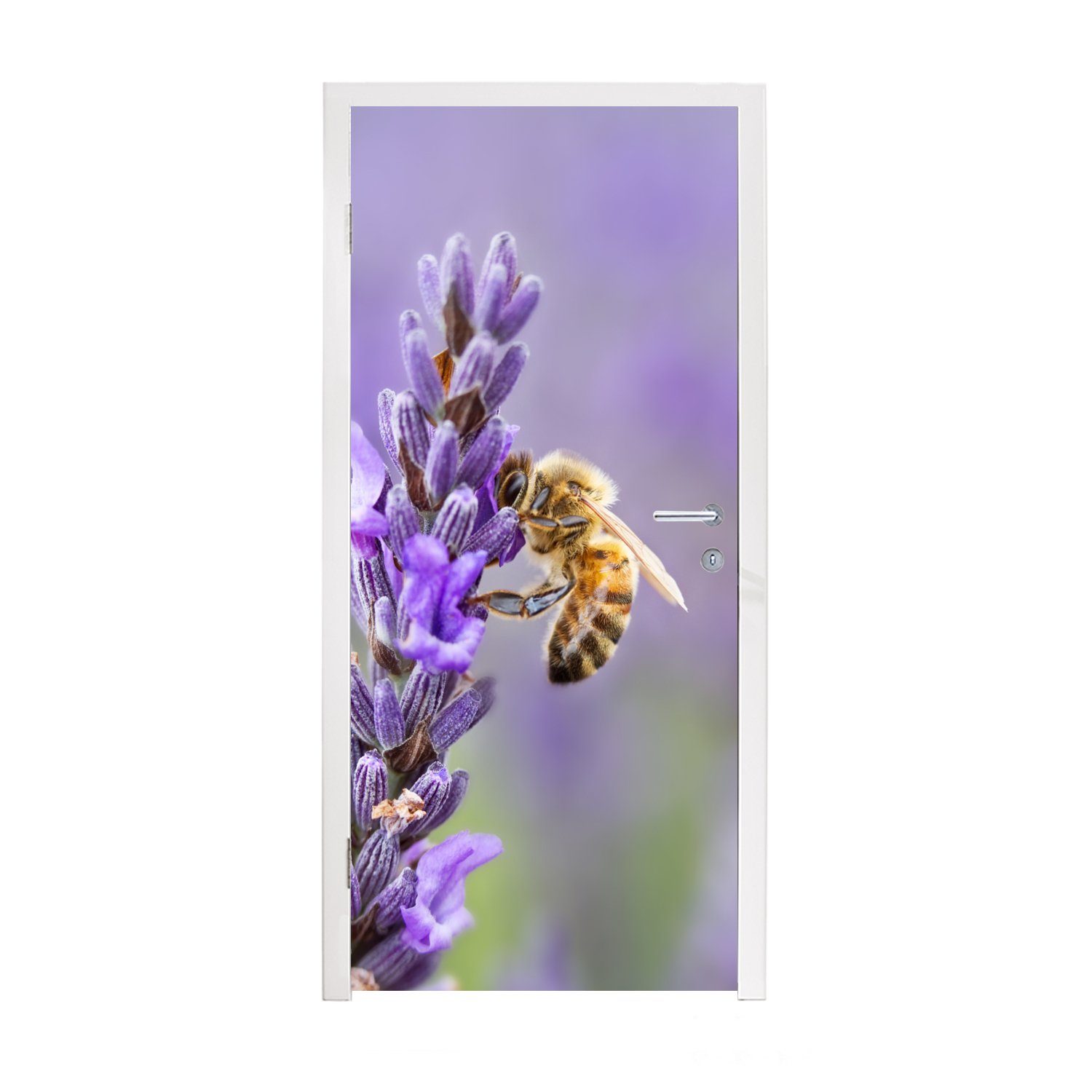 MuchoWow Türtapete Biene auf Lavendel, Matt, bedruckt, (1 St), Fototapete für Tür, Türaufkleber, 75x205 cm