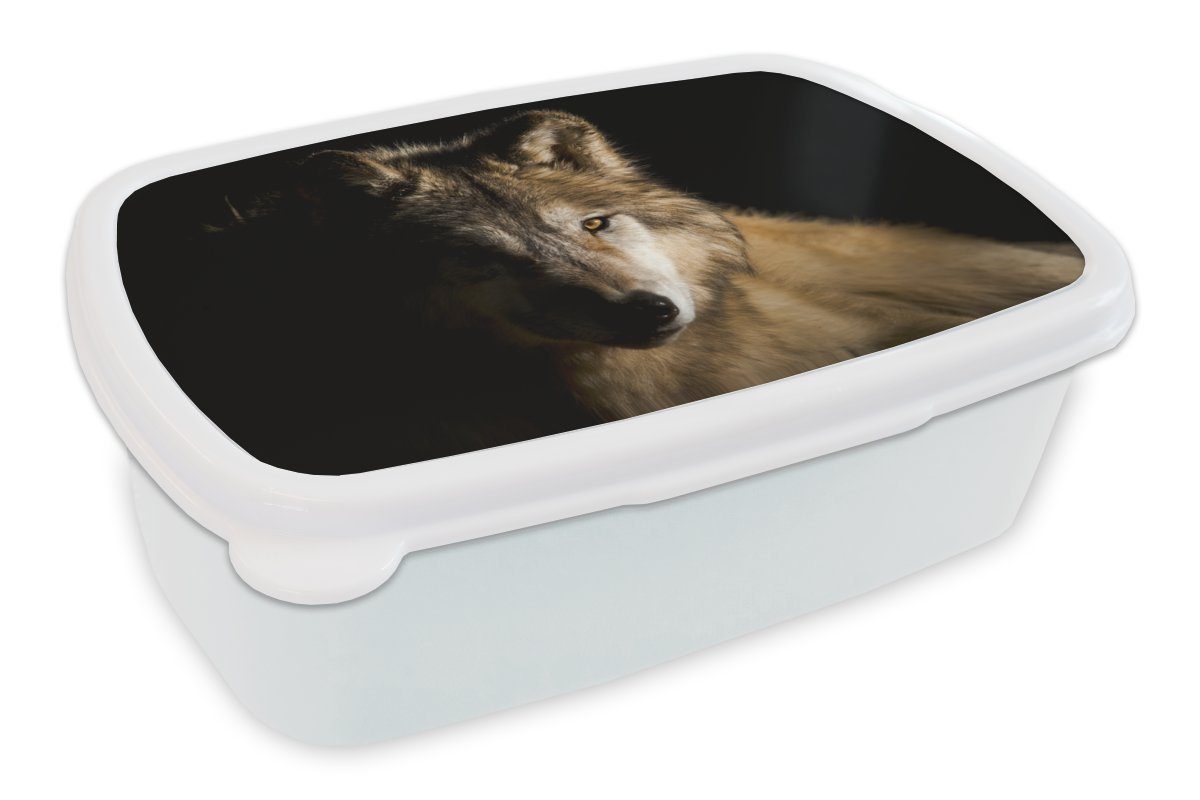 MuchoWow Lunchbox Polarwolf, Kunststoff, (2-tlg), Brotbox für Kinder und Erwachsene, Brotdose, für Jungs und Mädchen weiß
