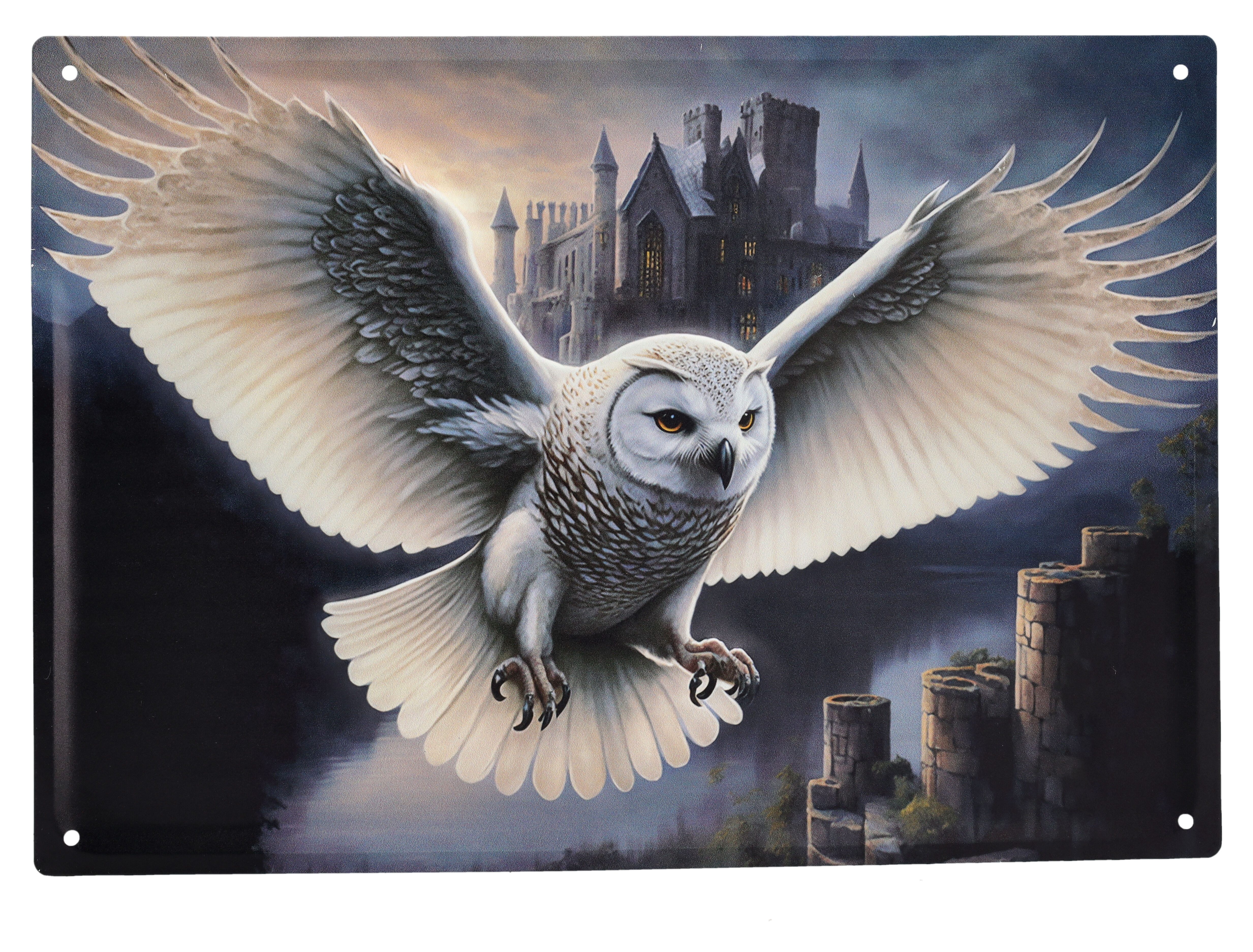 Figuren Shop GmbH Metallschild Blechschild - Eulen Bote groß - Fantasy Tiermotiv Metallschild Deko