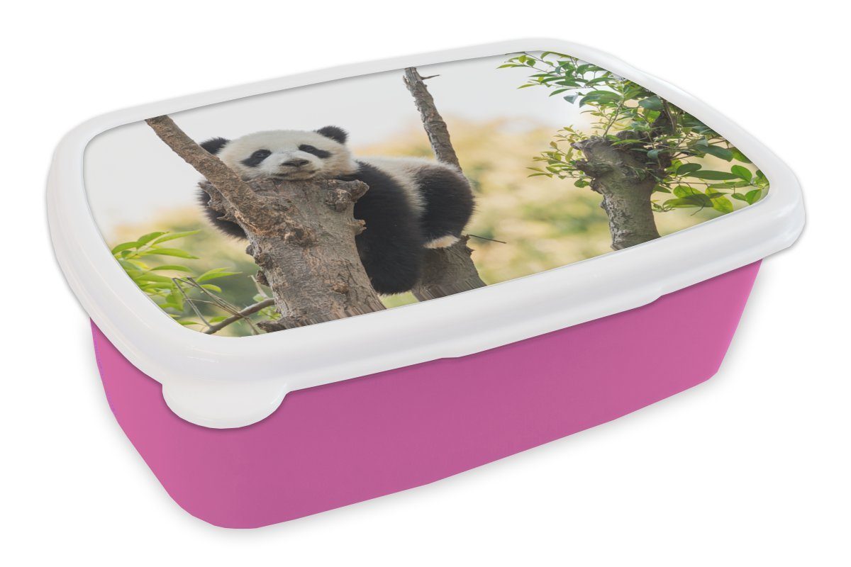 MuchoWow Lunchbox Panda - Baum - Licht, Kunststoff, (2-tlg), Brotbox für Erwachsene, Brotdose Kinder, Snackbox, Mädchen, Kunststoff rosa