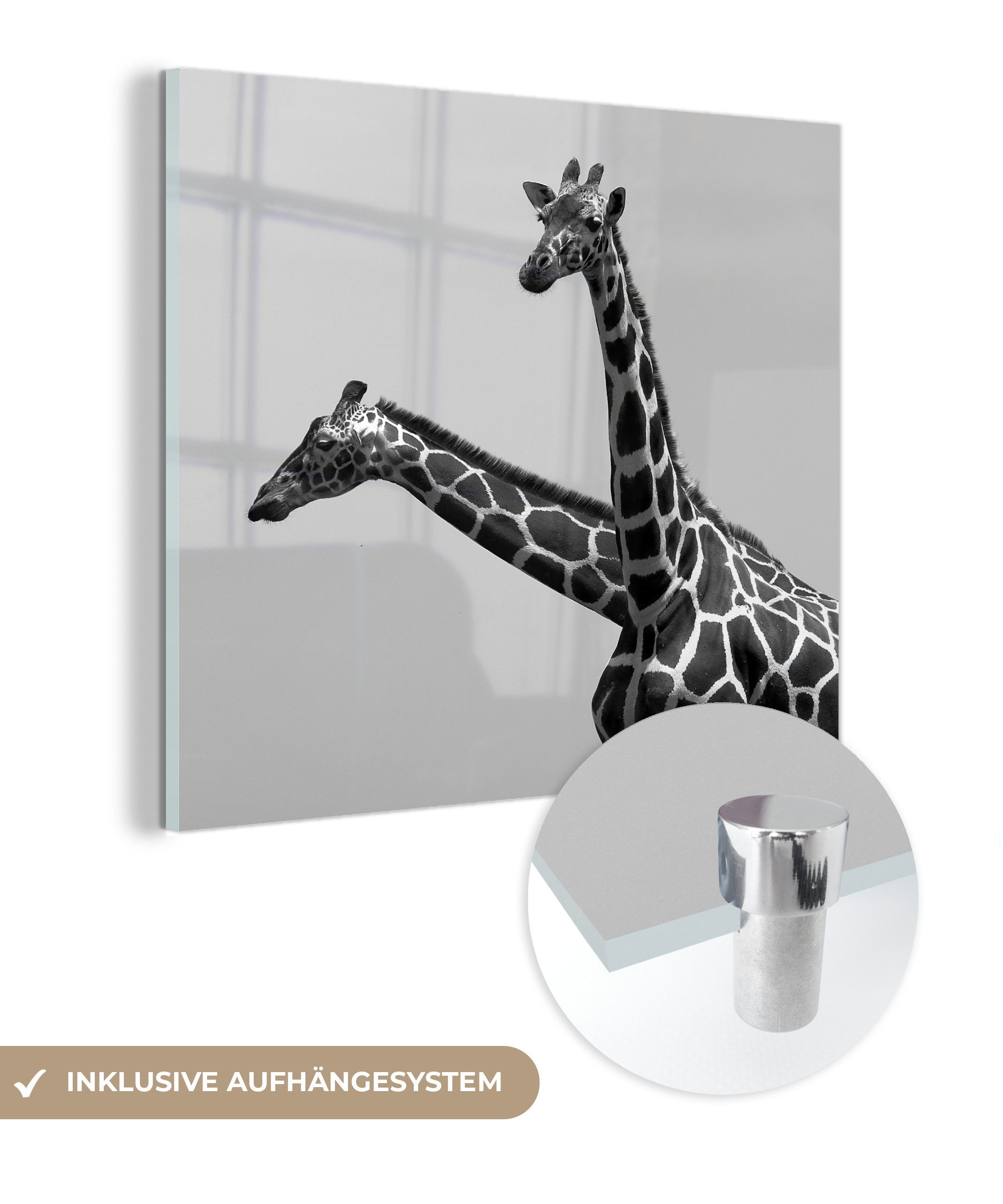 MuchoWow Acrylglasbild Zwei Giraffen in Schwarz und Weiß, (1 St), Glasbilder - Bilder auf Glas Wandbild - Foto auf Glas - Wanddekoration