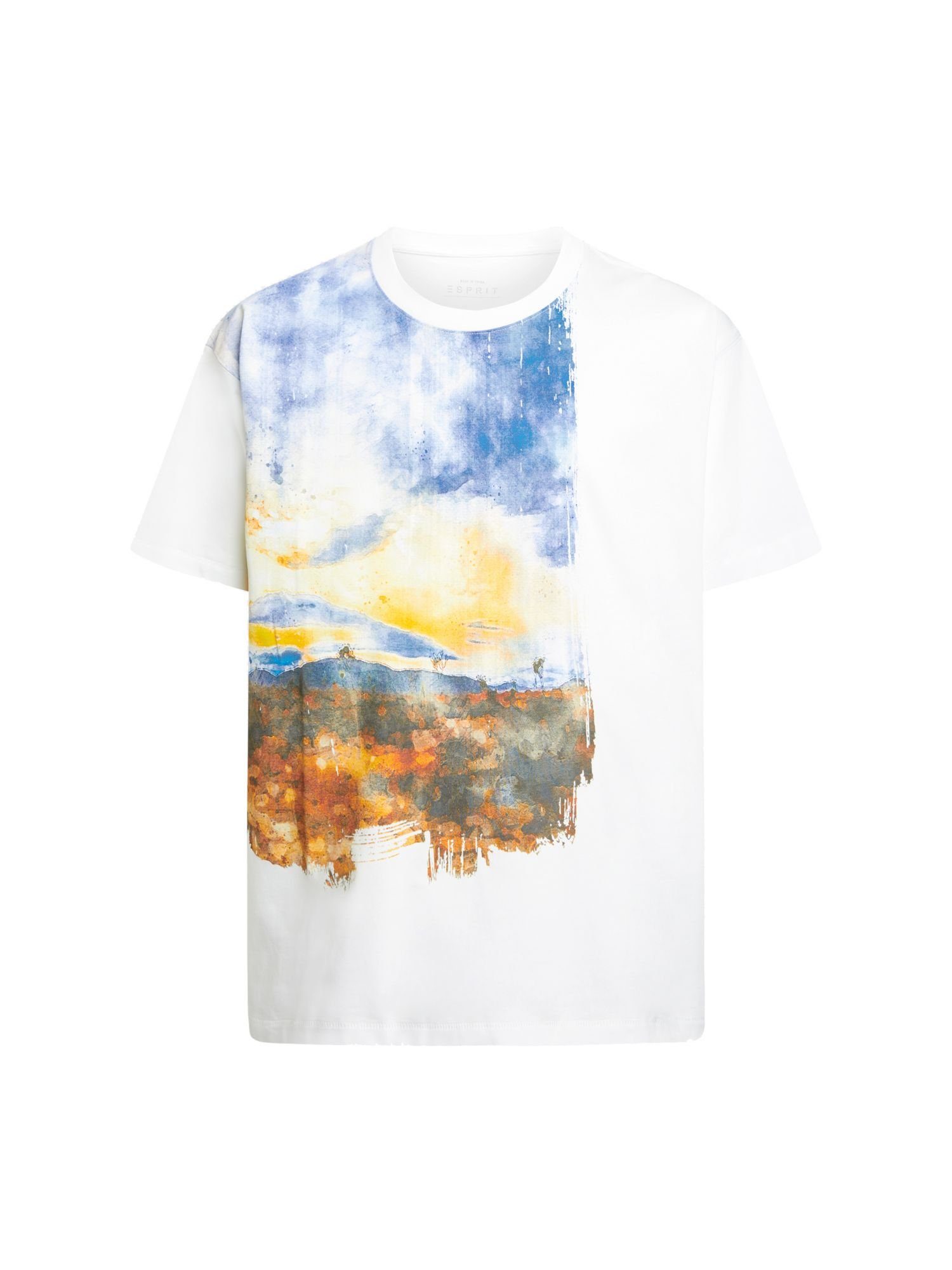 Esprit T-Shirt T-Shirt mit digitalem Landschafts-Print vorne (1-tlg) WHITE