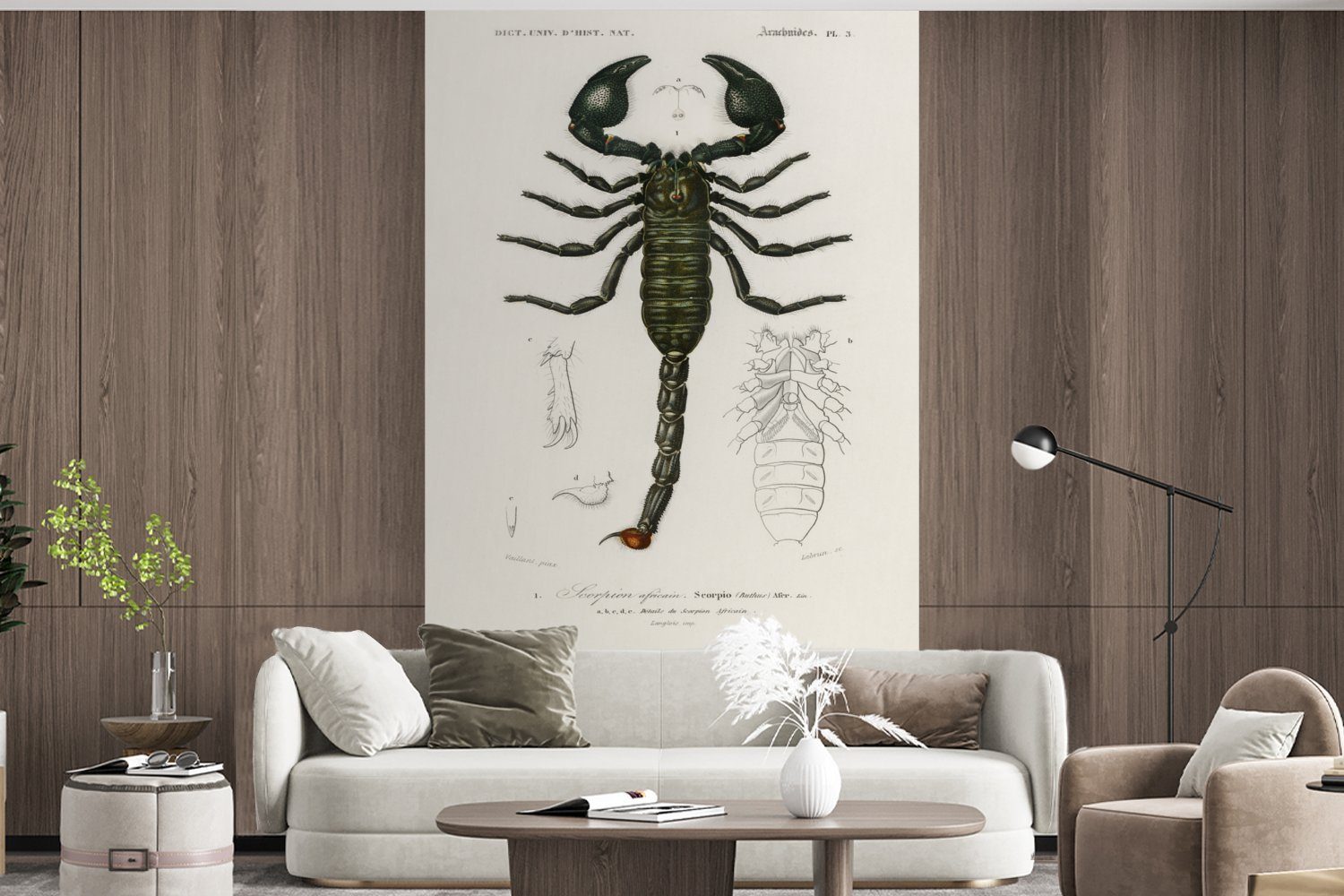 (3 Skorpion Fototapete für Jahrgang Kinderzimmer, Tapete Insekten, - bedruckt, MuchoWow Wallpaper Matt, - Wohnzimmer, St), Vinyl Schlafzimmer,