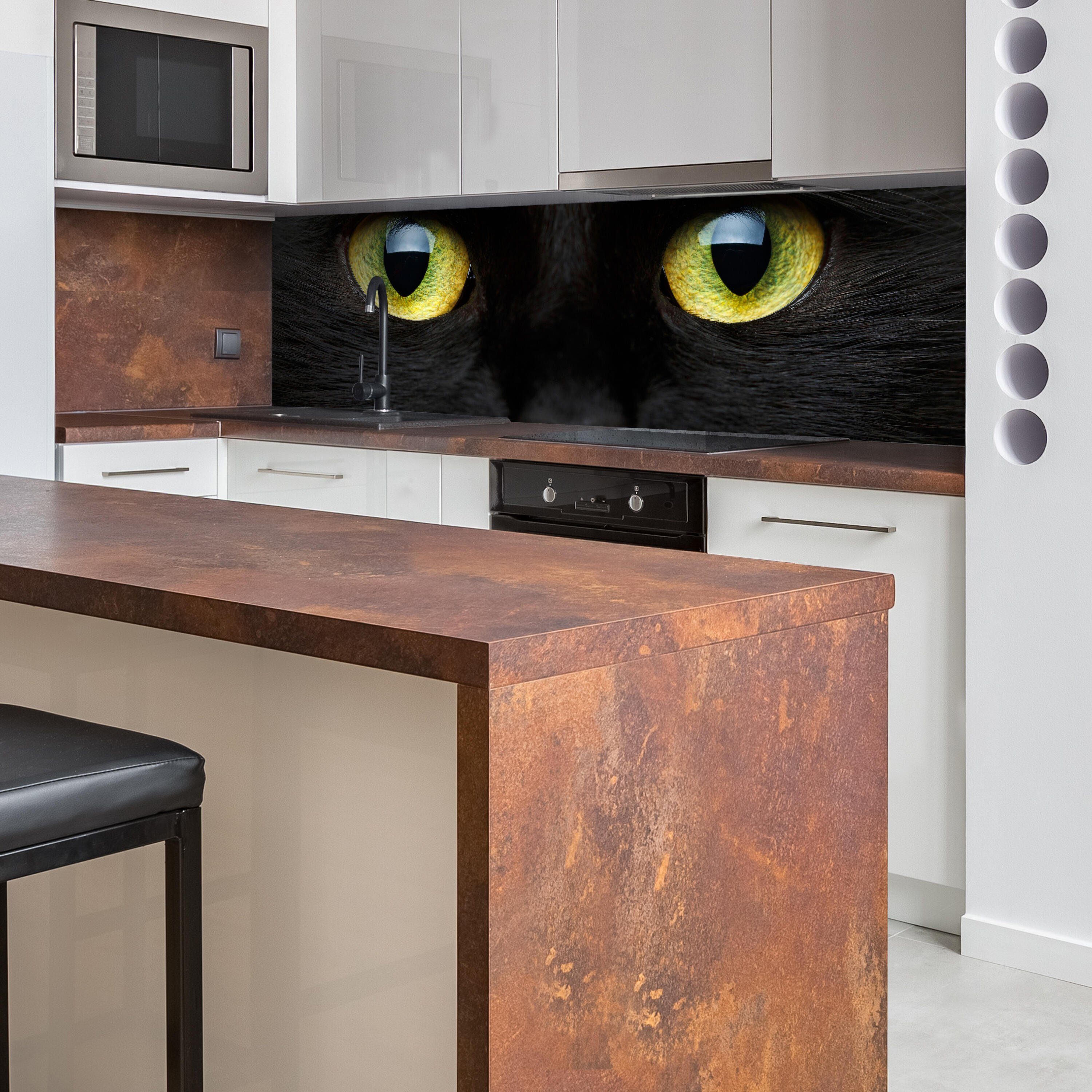 der in schwarzen (1-tlg), Nischenrückwand Hartschaum Küchenrückwand Nahaufnahme wandmotiv24 Premium Größen Katze, versch.