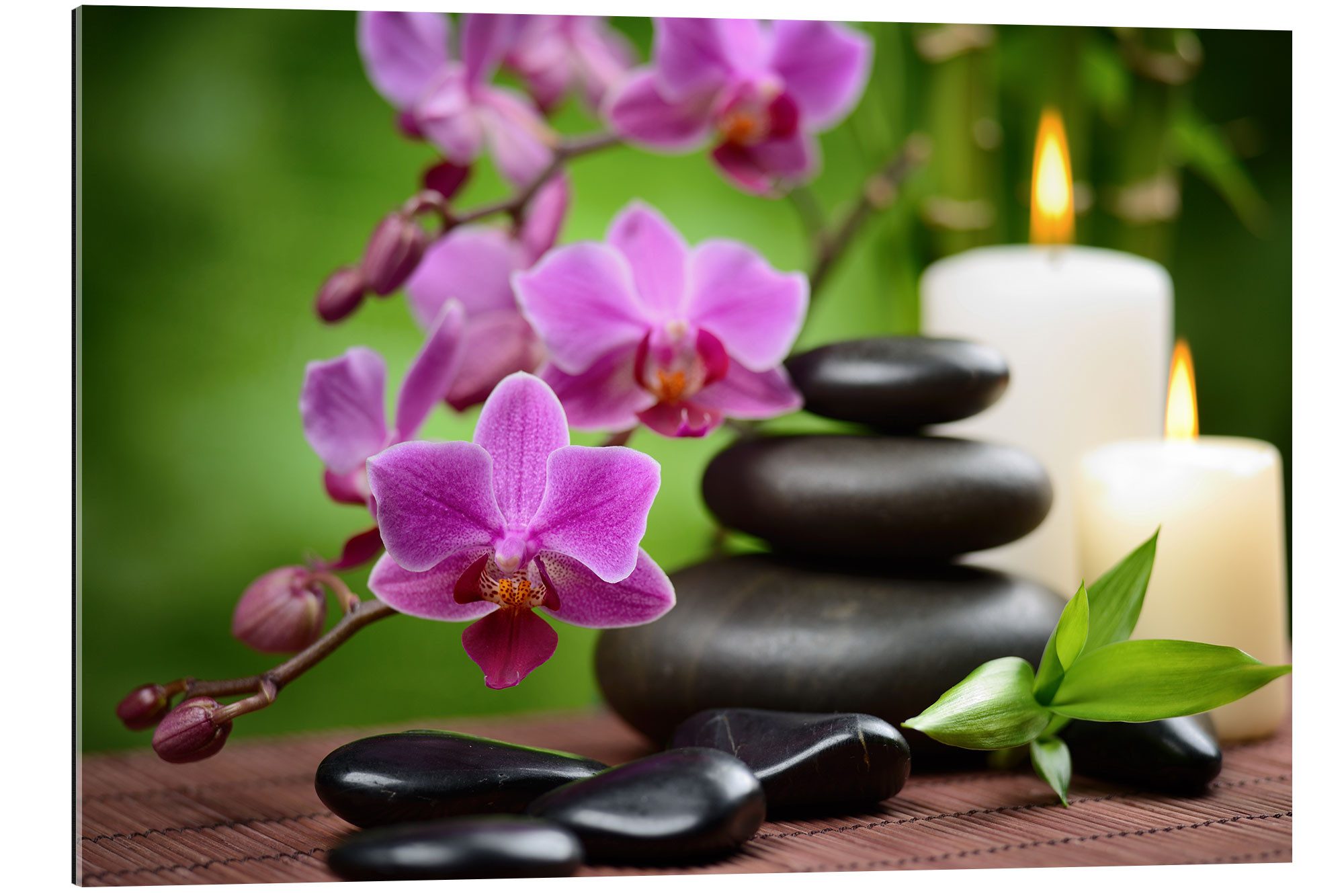 Posterlounge Poster Editors Choice, Wellness-Stillleben mit günstig online kaufen