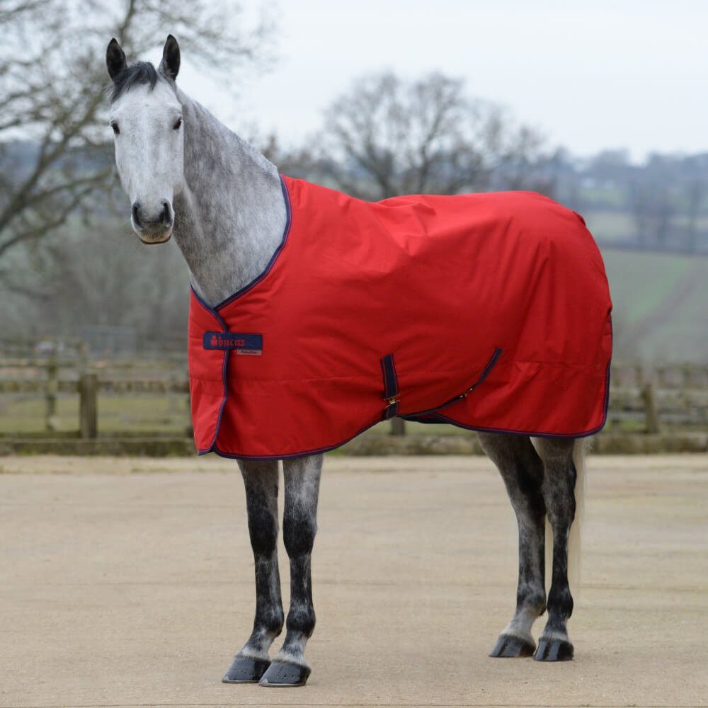 Bucas Pferde-Stalldecke Bucas Freedom Stable 300g