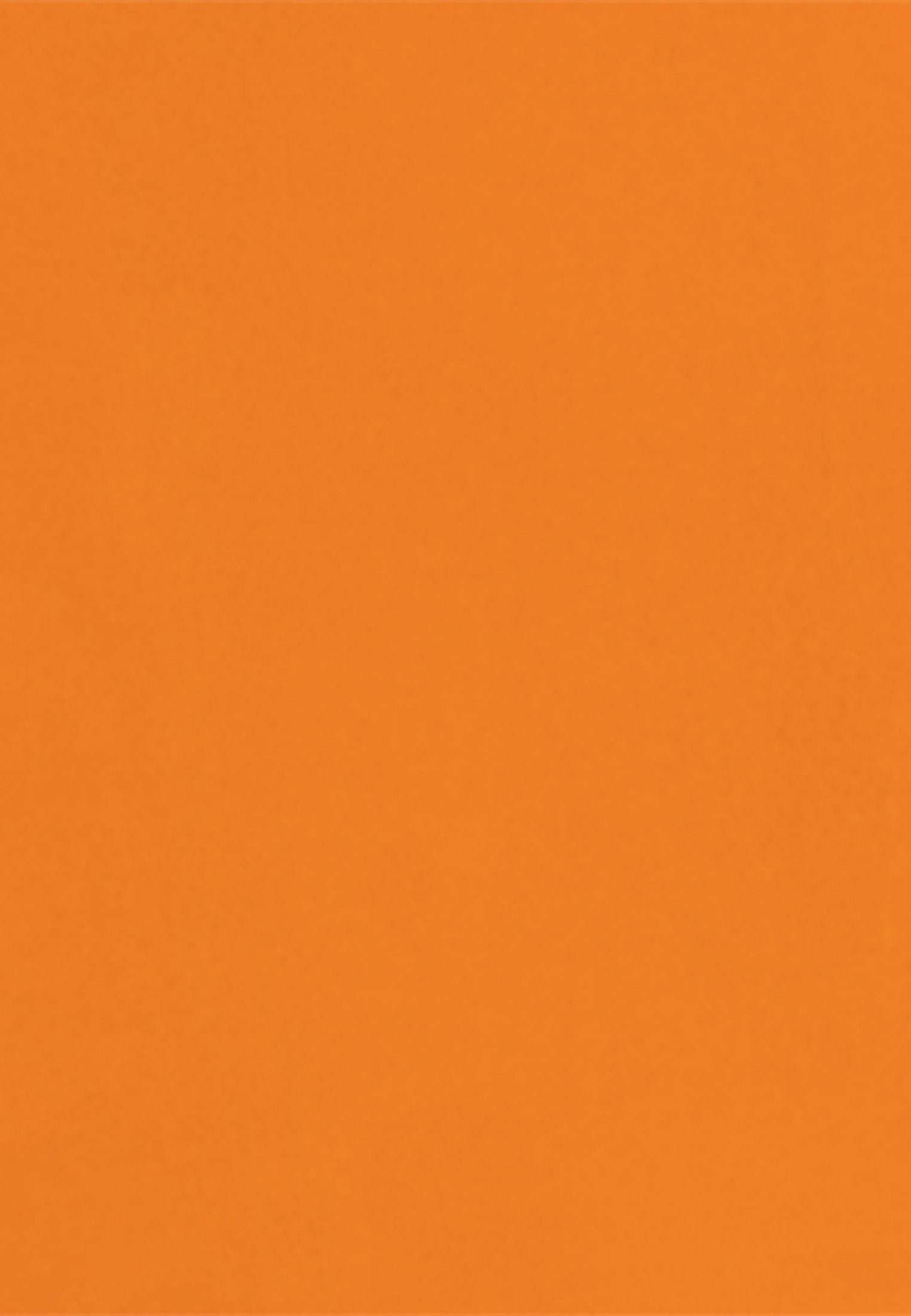 Bluse Klassische Uni Orange Schwarze Rose seidensticker Tunika