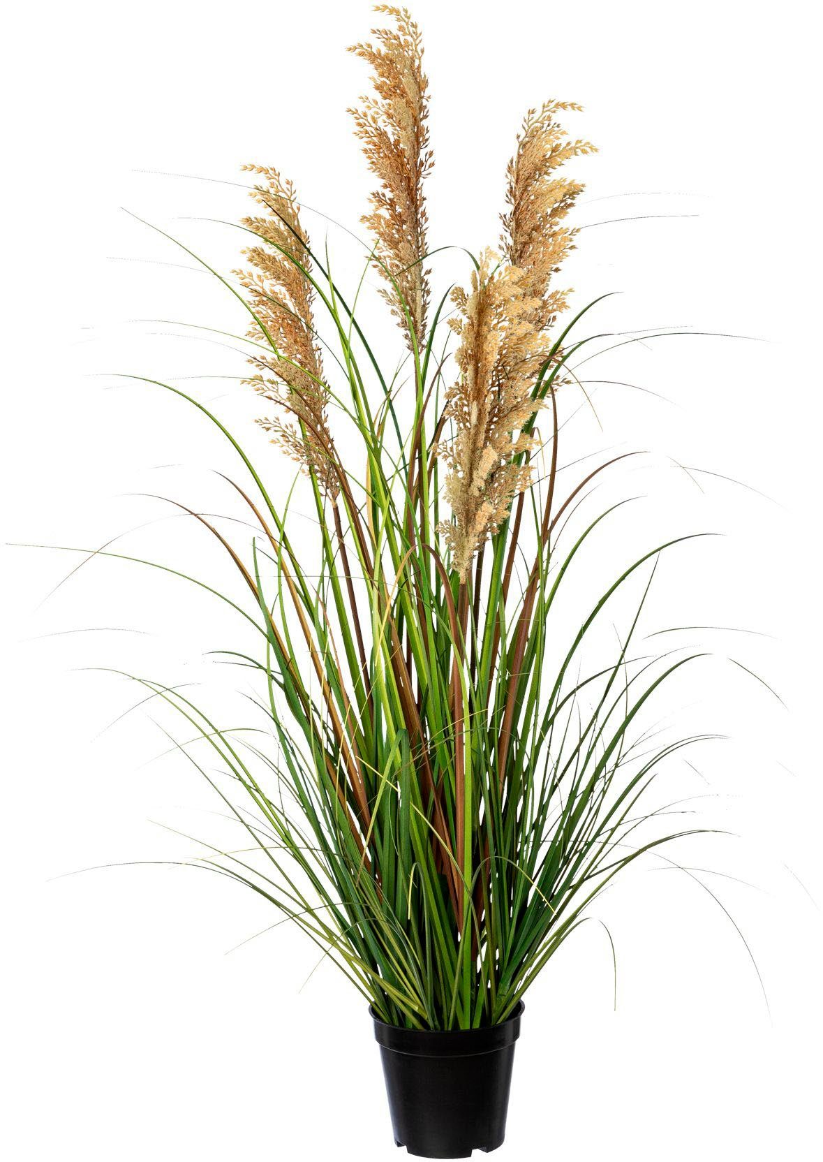 Kunstgras Grasbusch Rispenhirse Gras, Creativ green, Höhe 92 cm