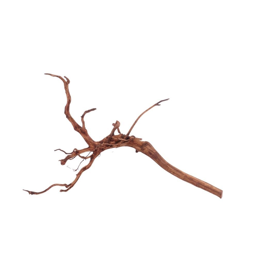 Aquaone Aquarium L Red Spider Wurzel Nr.4591 Fingerwurzel Echtholz Deko Aquascaping