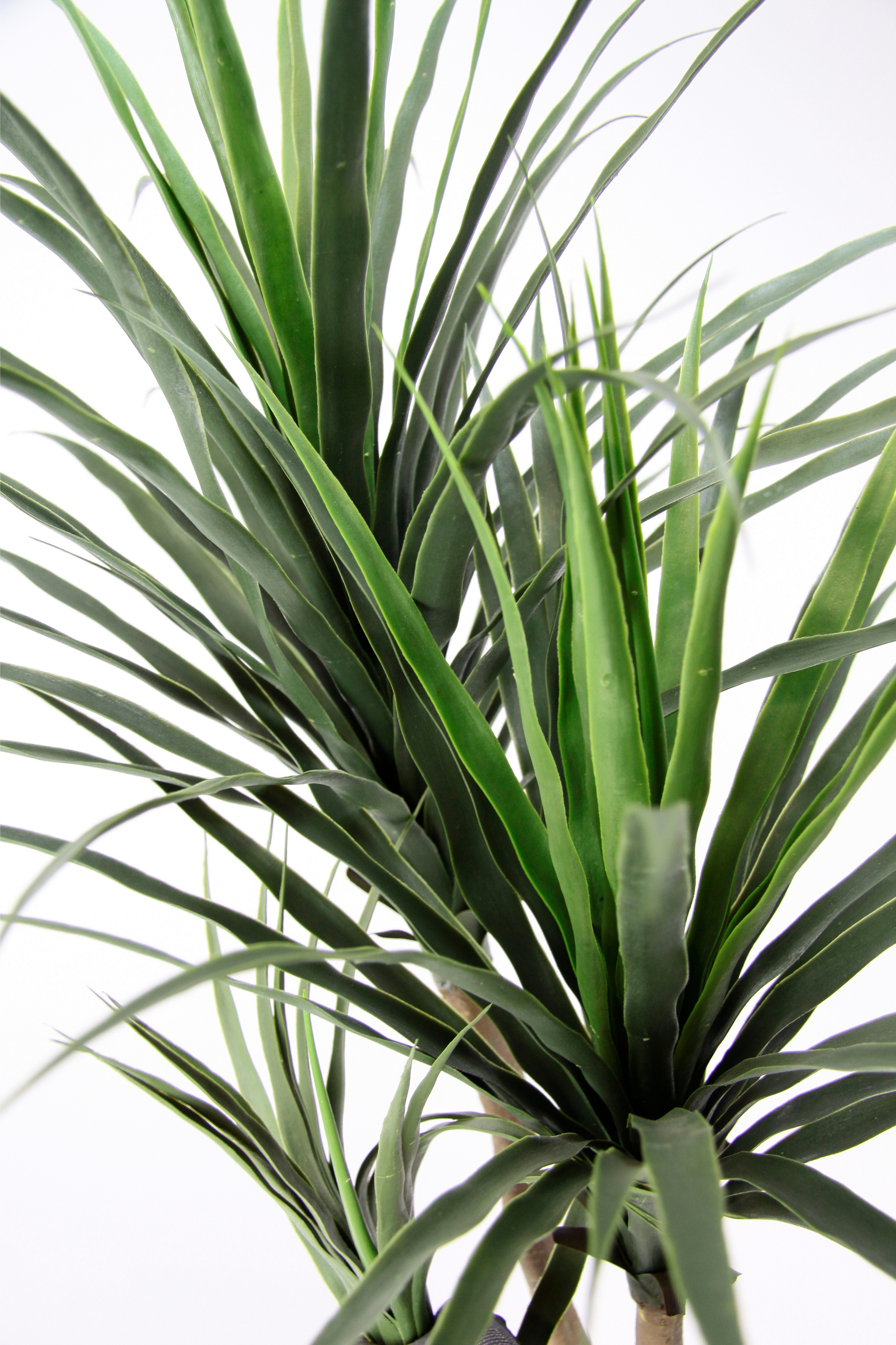 Kunstbaum Palme Dracena im Topf künstlich Pflanze Dracenapalme Zimmerpflanzen, I.GE.A., Höhe 120 cm, Zimmerpalme Grünpflanzen Kunstpflanze Drachenbaum Pflanze Palme