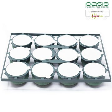 Oasis Schaumgummi OASIS® Mini Deco IDEAL - 3,5 x 5cm Ø - 12 St.