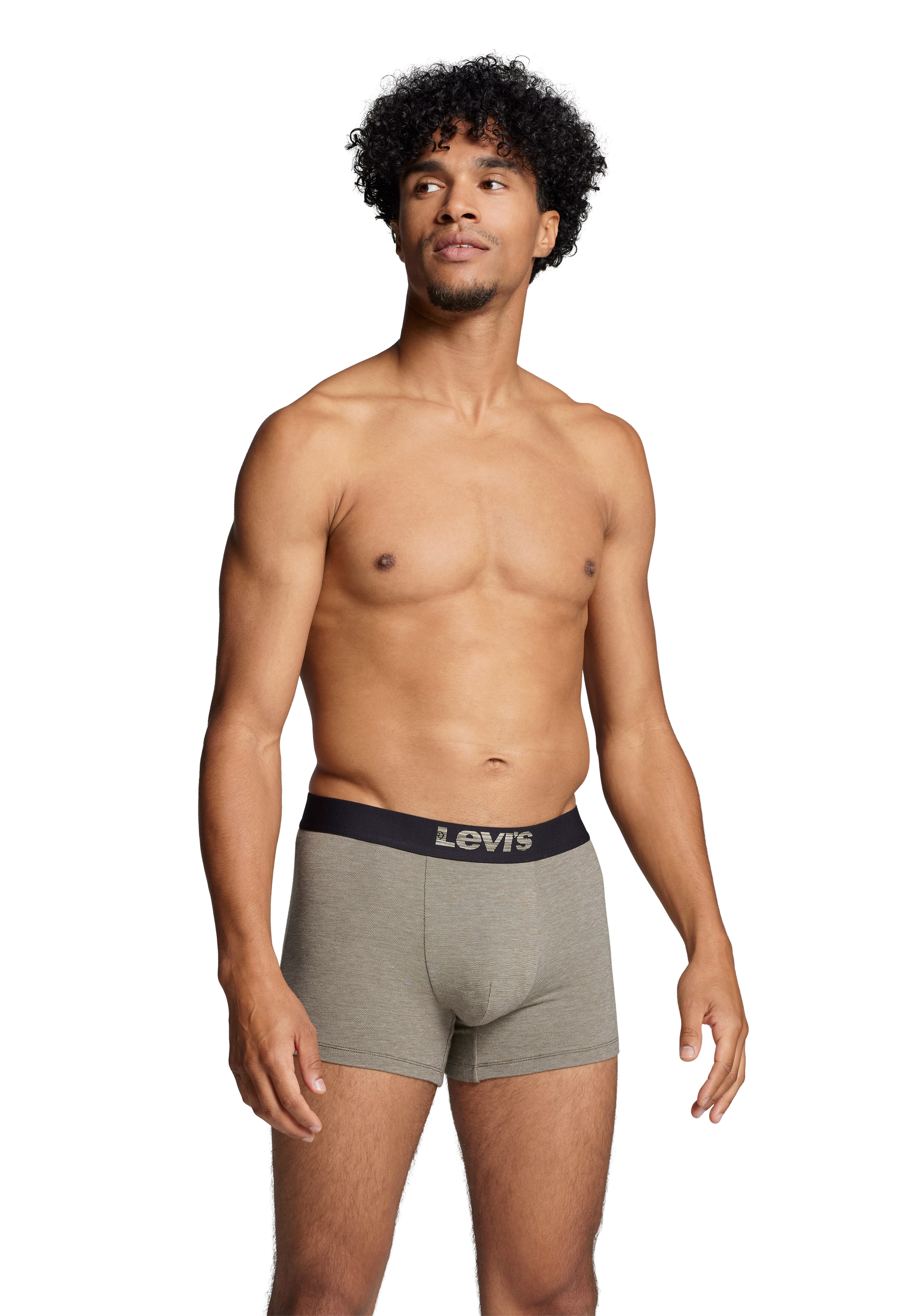 Levi's® Boxershorts LEVIS MEN MEL WB BOXER BRIEF ORG CO 2P (2er Pack) mit b günstig online kaufen