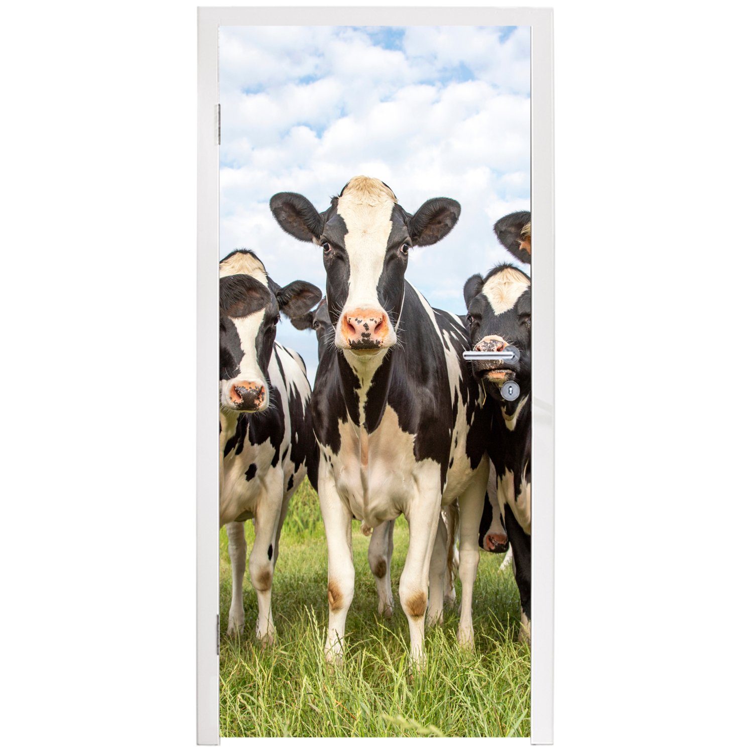 MuchoWow bedruckt, Türtapete Kühe Tiere Tür, cm 75x205 Fototapete - für Türaufkleber, Weide (1 - Gras, Natur St), - Matt, -