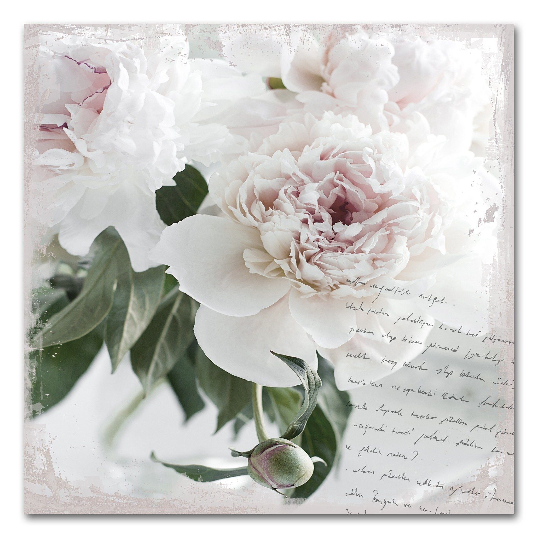 queence Acrylglasbild Poesie&Rose, 50x50 cm | Bilder