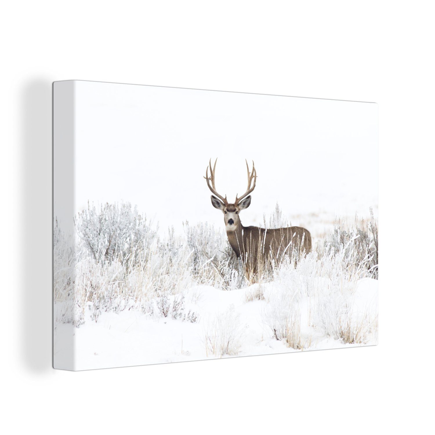OneMillionCanvasses® Leinwandbild Hirsche - Winter - Schnee - Tiere - Jahre günstig online kaufen