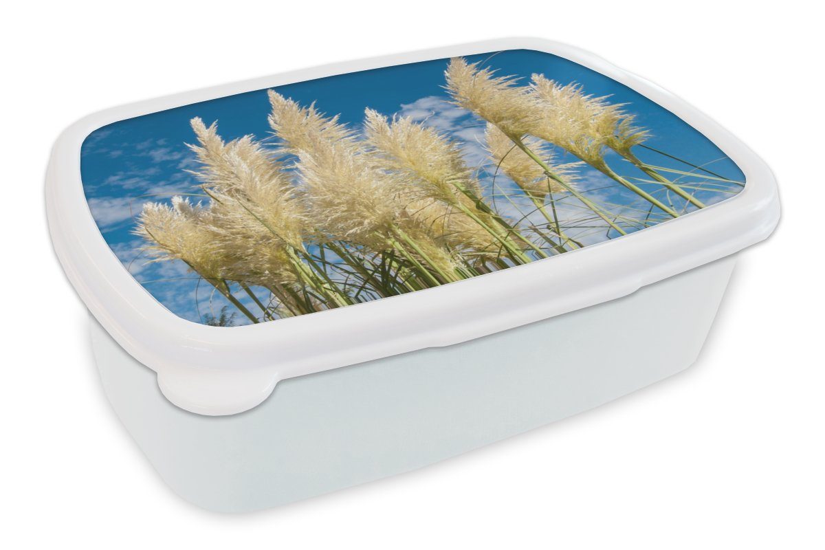 MuchoWow (2-tlg), Natur, für für Kunststoff, und weiß - Jungs und Pampasgras Erwachsene, Kinder Lunchbox Brotdose, Mädchen - Pflanze Brotbox