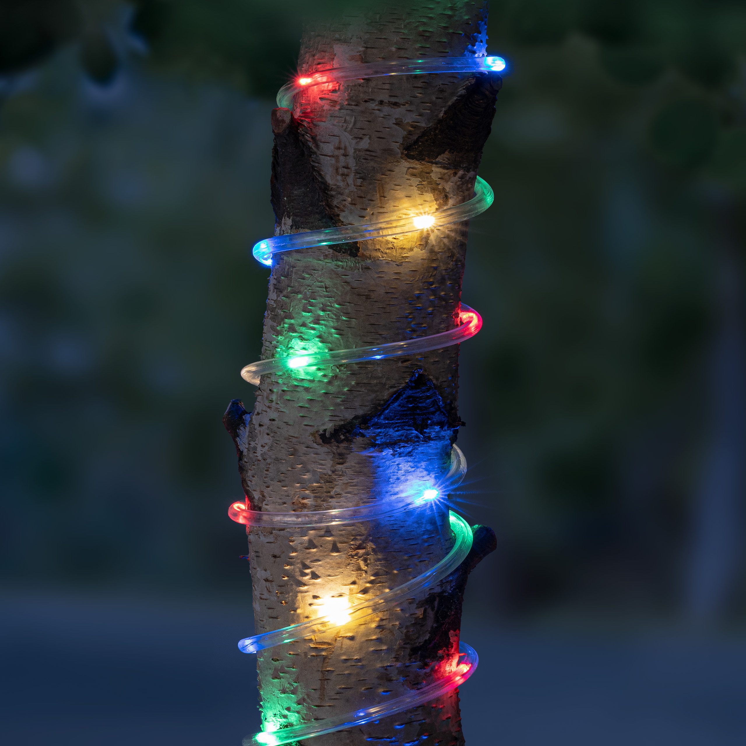 IC Gardenworld LED-Lichterschlauch Solar Lichterschlauch mit 50 bunten LED, günstig online kaufen