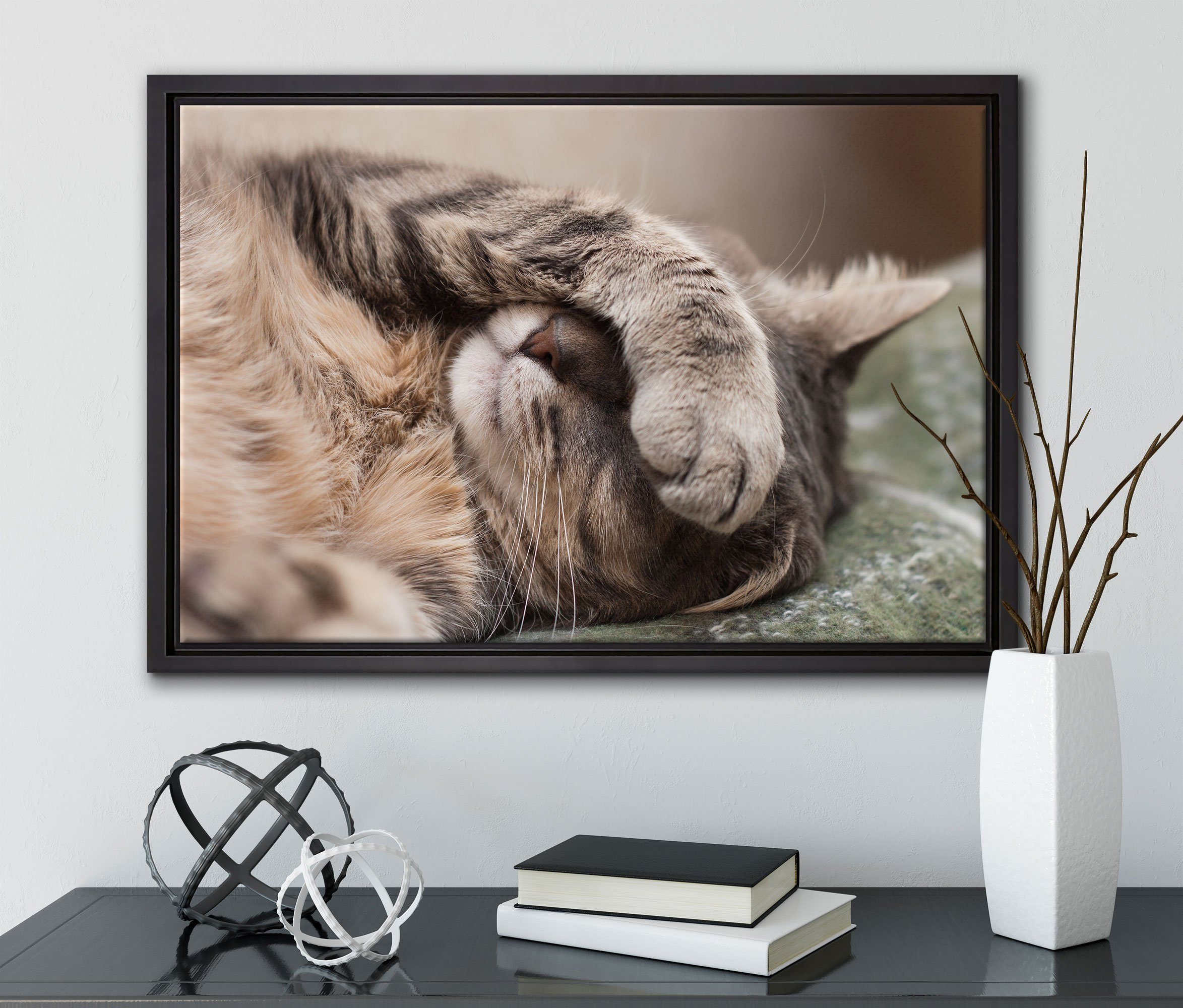 Pixxprint Katze, Wanddekoration Schüchterne gefasst, niedliche inkl. in Zackenaufhänger bespannt, fertig Leinwandbild Leinwandbild Schattenfugen-Bilderrahmen (1 St), einem