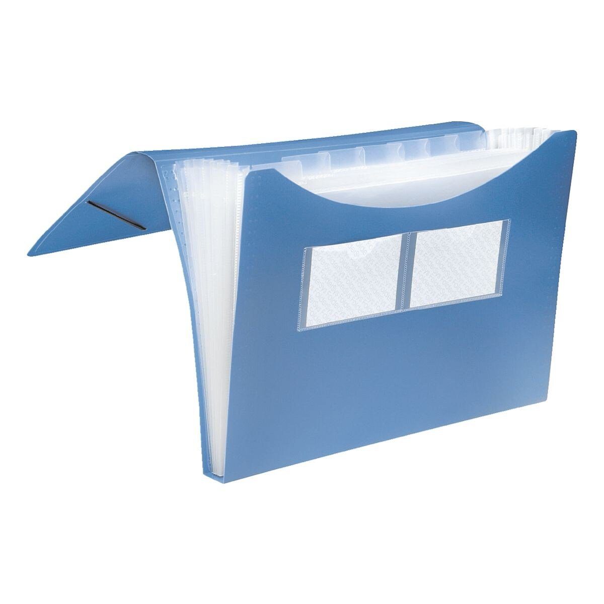 FOLDERSYS Fächermappe, 7 Fächer, DIN A4 günstig online kaufen