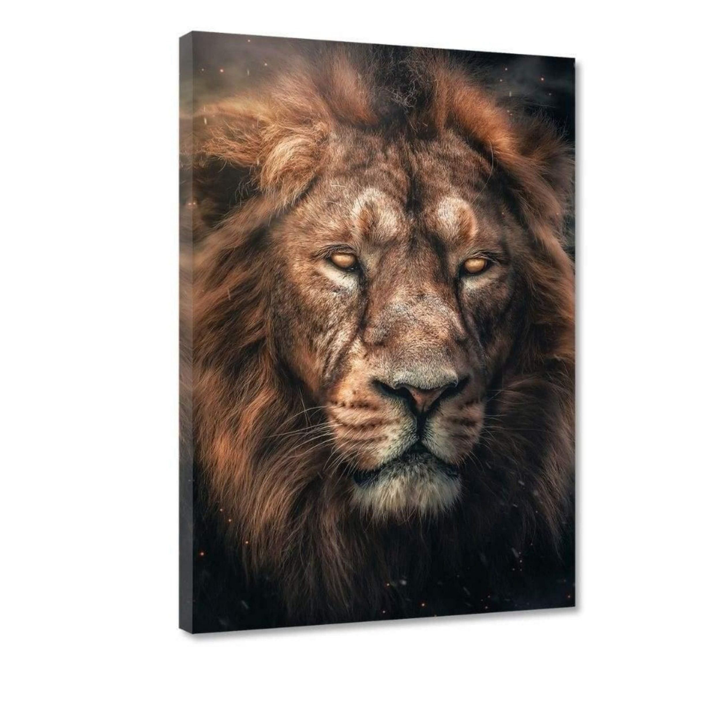 7 "Dark verfügbar Größen - Hustling Löwen-Bild als Leinwandbild in Lion" XXL unterschiedlichen Leinwandbild exklusives Tierbild, Sharks