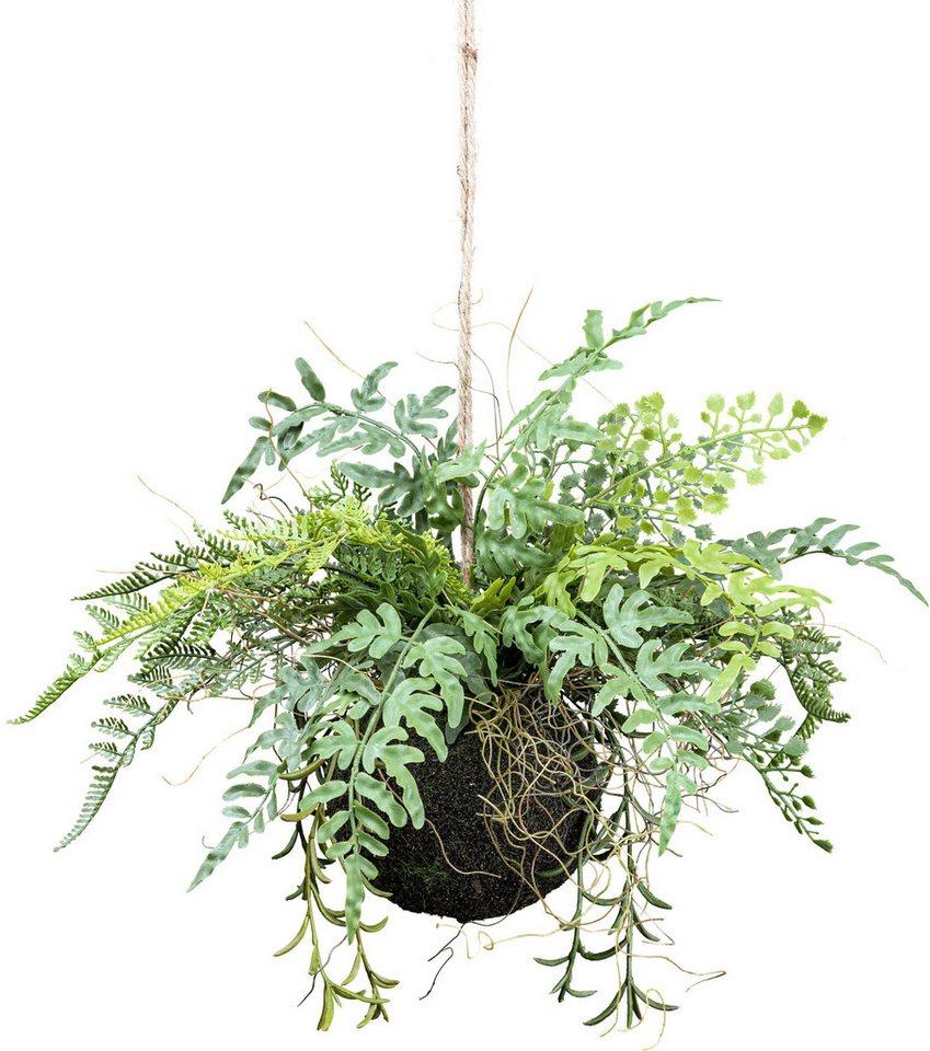 Kunstranke Mix-Farn-Hängekugel Sukkulente, Creativ green, Höhe 25 cm, auf künstlichem Moosballen