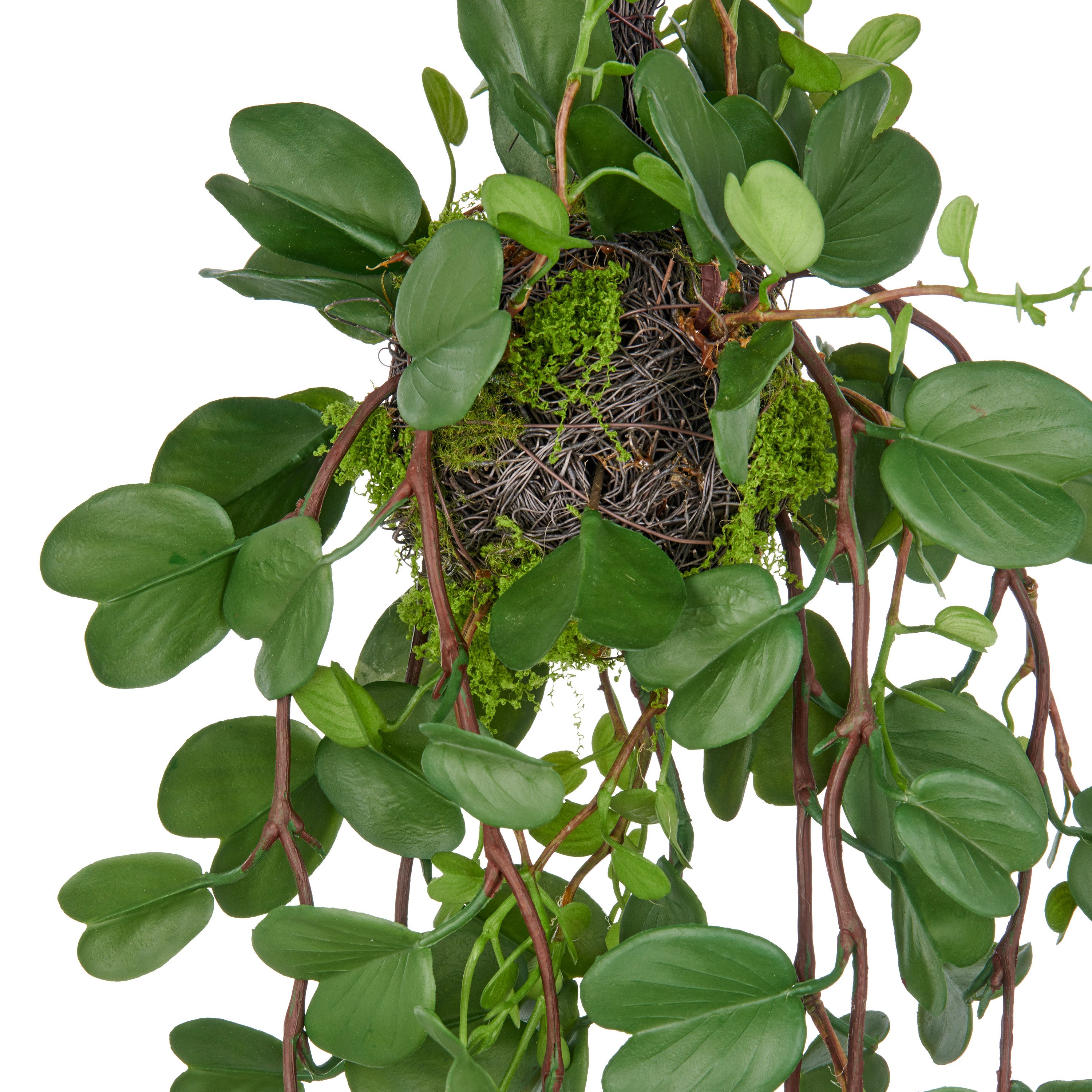 Kunstpflanze Bauhinia, Creativ green, Höhe 90 cm, mit detailgetreuen Blattranken an Reisigkugel – Bild 2 von 2