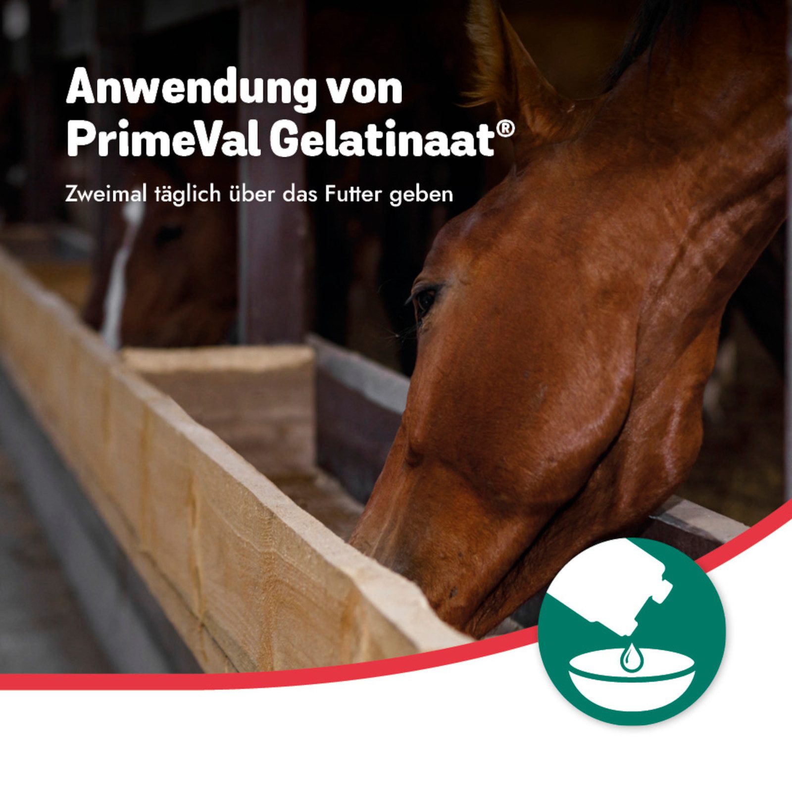 PrimeVal Gelatinaat Liquid für Pferde, Zur Unterstützung der Gelenkbeweglic..., Ergänzungsfutter für: Pferde