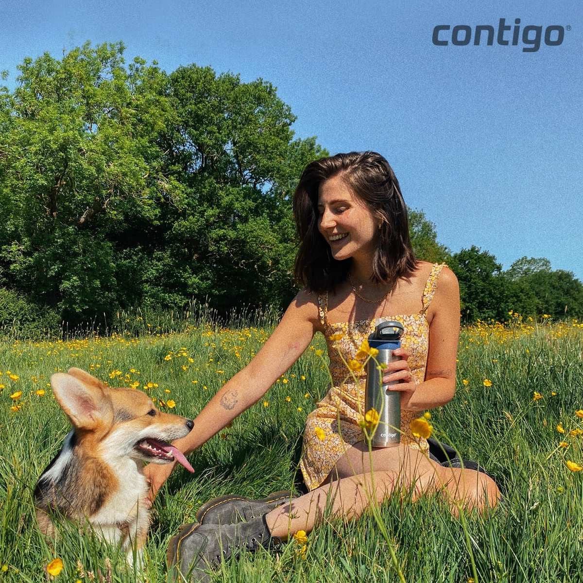 CONTIGO Isolierflasche Contigo Trinkflasche Ashland Edelstahl Wasserflasche 590 ml Monaco