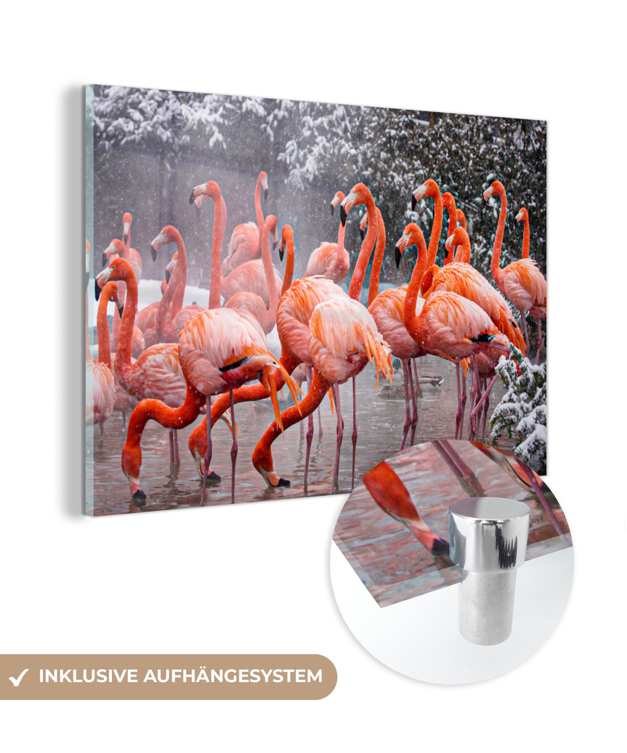 MuchoWow Acrylglasbild Flamingo - Schnee - Wasser, (1 St), Acrylglasbilder Wohnzimmer & Schlafzimmer