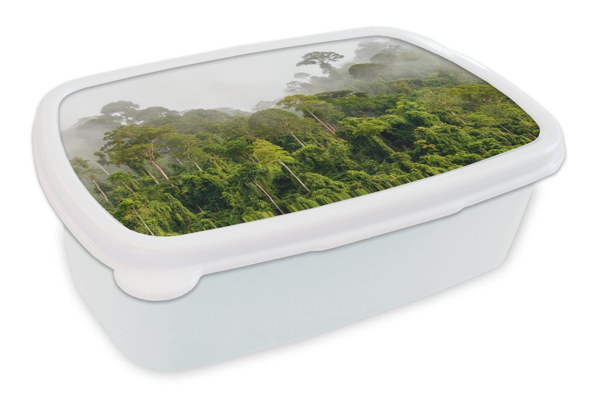 MuchoWow Lunchbox Dschungel - Baum - Nebel - Mädchen - Kinder, Kunststoff, (2-tlg), Brotbox für Kinder und Erwachsene, Brotdose, für Jungs und Mädchen weiß