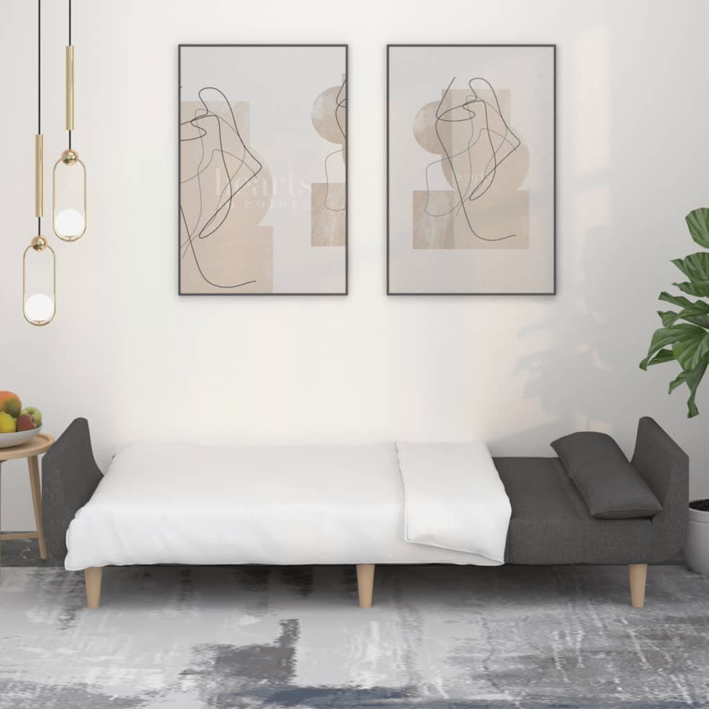 vidaXL Sofa Schlafsofa 2-Sitzer mit 2 Kissen Dunkelgrau Stoff – Bild 3 von 5