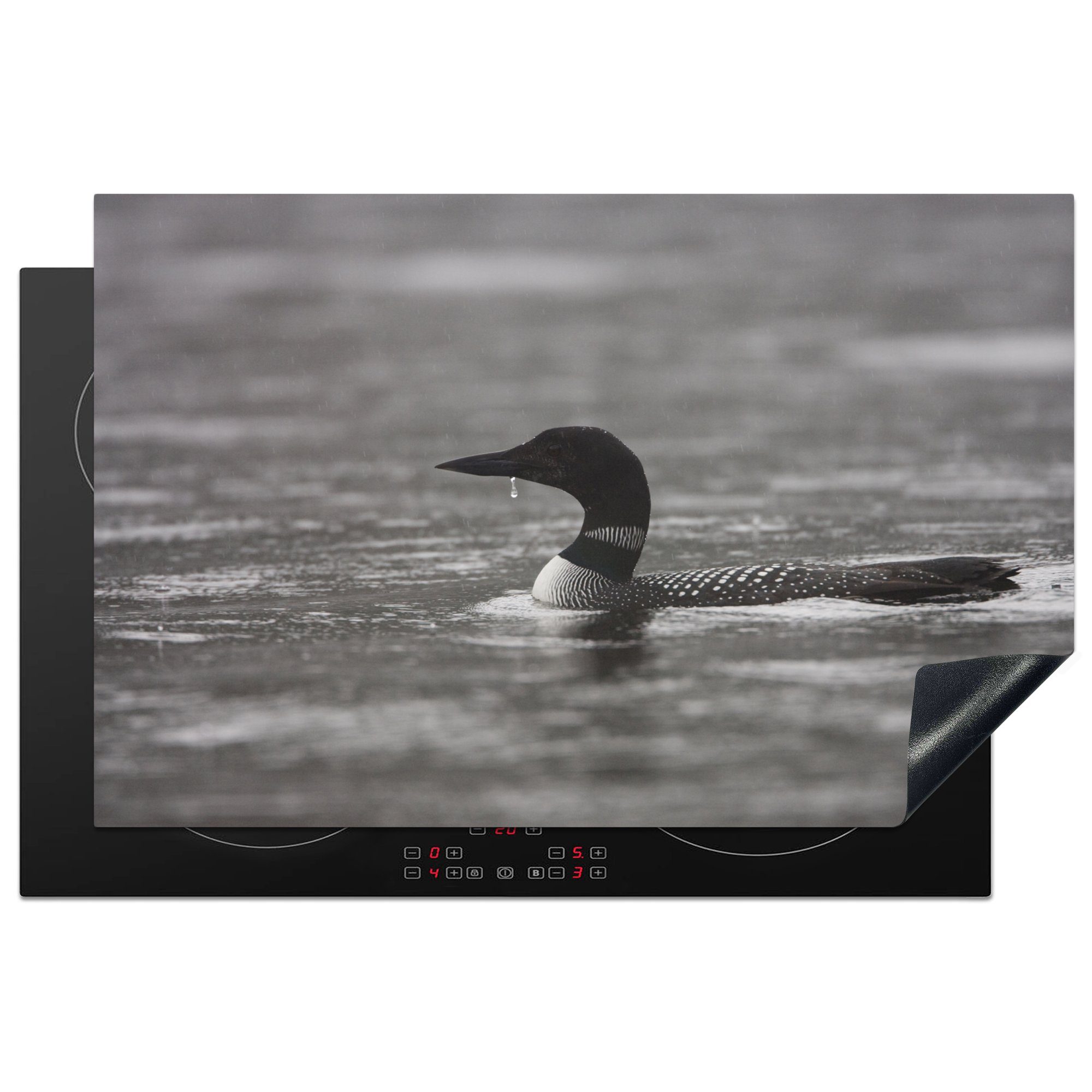 MuchoWow Herdblende-/Abdeckplatte Schwarz-Weiß-Bild eines 81x52 Induktionskochfeld schwimmenden für Schutz cm, Vinyl, Perlentauchers, die Ceranfeldabdeckung küche, (1 tlg)