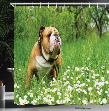 Abakuhaus Duschvorhang Moderner Digitaldruck mit 12 Haken auf Stoff Wasser Resistent Breite 175 cm, Höhe 180 cm, Englische Bulldogge Blossom Gänseblümchen