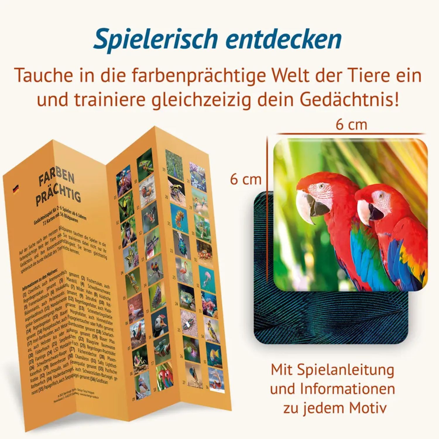 Spiel Farbenprächtig - Memospiel