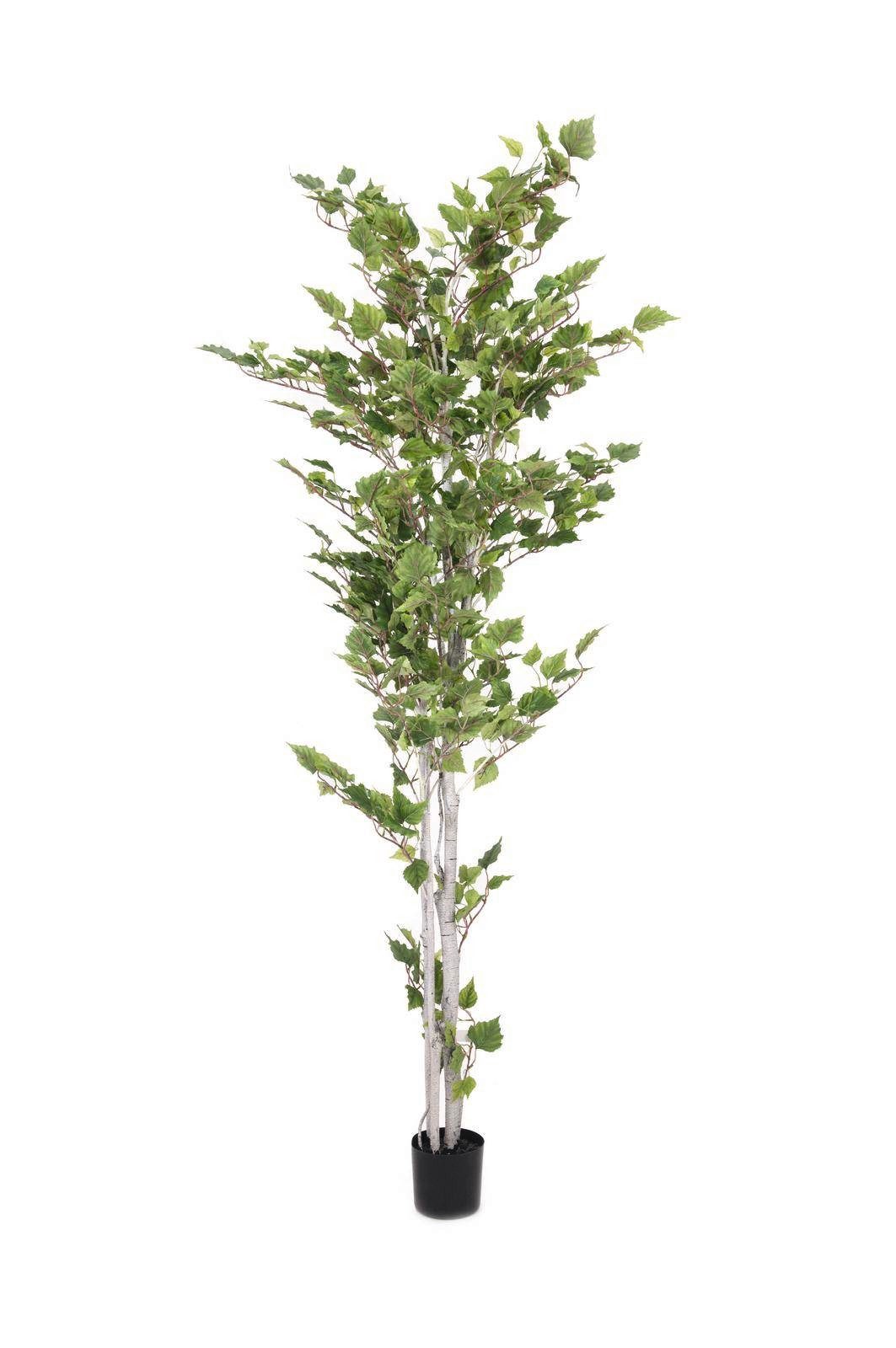 Kunstbaum Künstliche Weißbirke, 800 Blätter, getopft, 180cm - Kunstpflanze Birke (Weißbirke), artplants, Höhe 180.0 cm