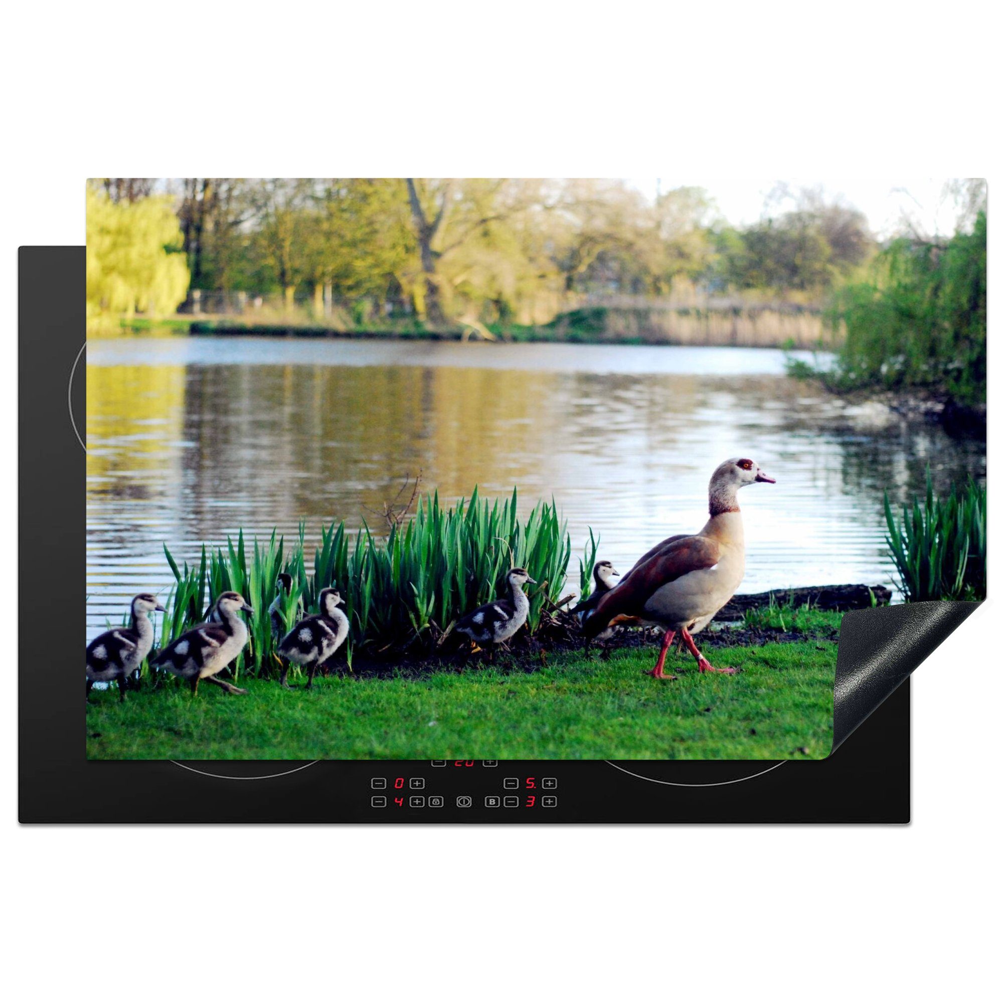 Ceranfeldabdeckung im Ente die MuchoWow tlg), Vondelpark (1 Herdblende-/Abdeckplatte Vinyl, Schutz in küche, für 81x52 Induktionskochfeld cm, Amsterdam,