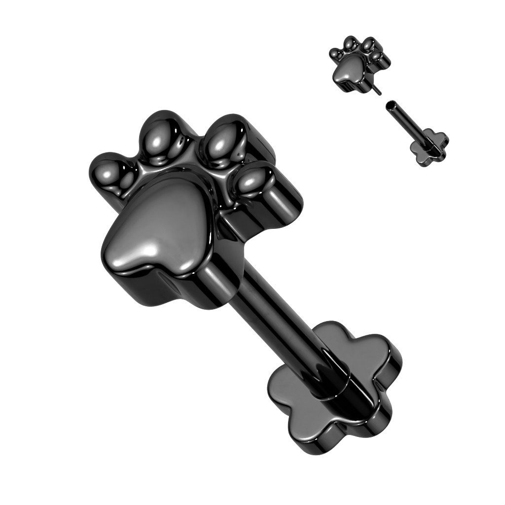 Taffstyle Piercing-Set Titan Tragus Knorpel Helix Universal Stecker Hundepf günstig online kaufen