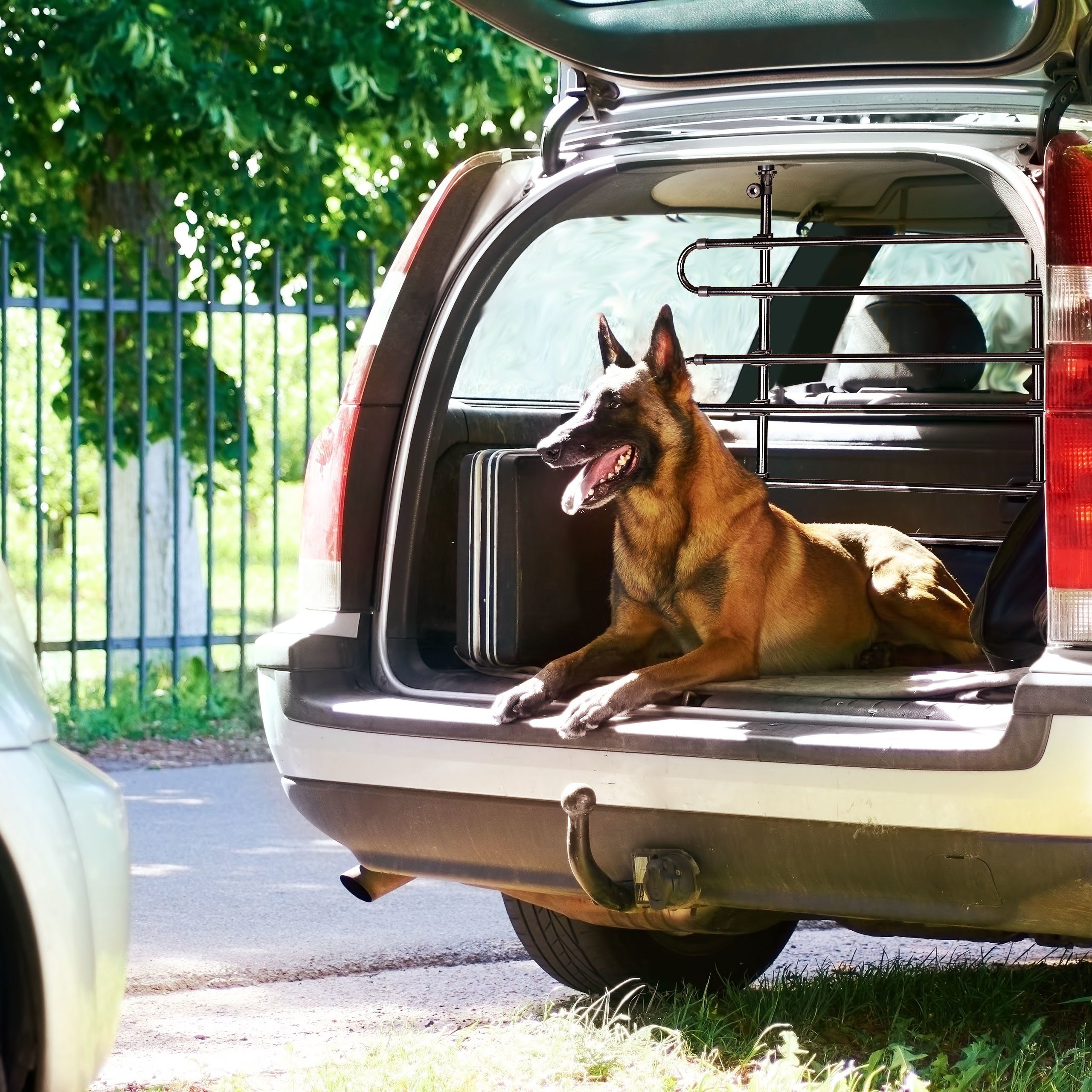 relaxdays Hundegitter Auto