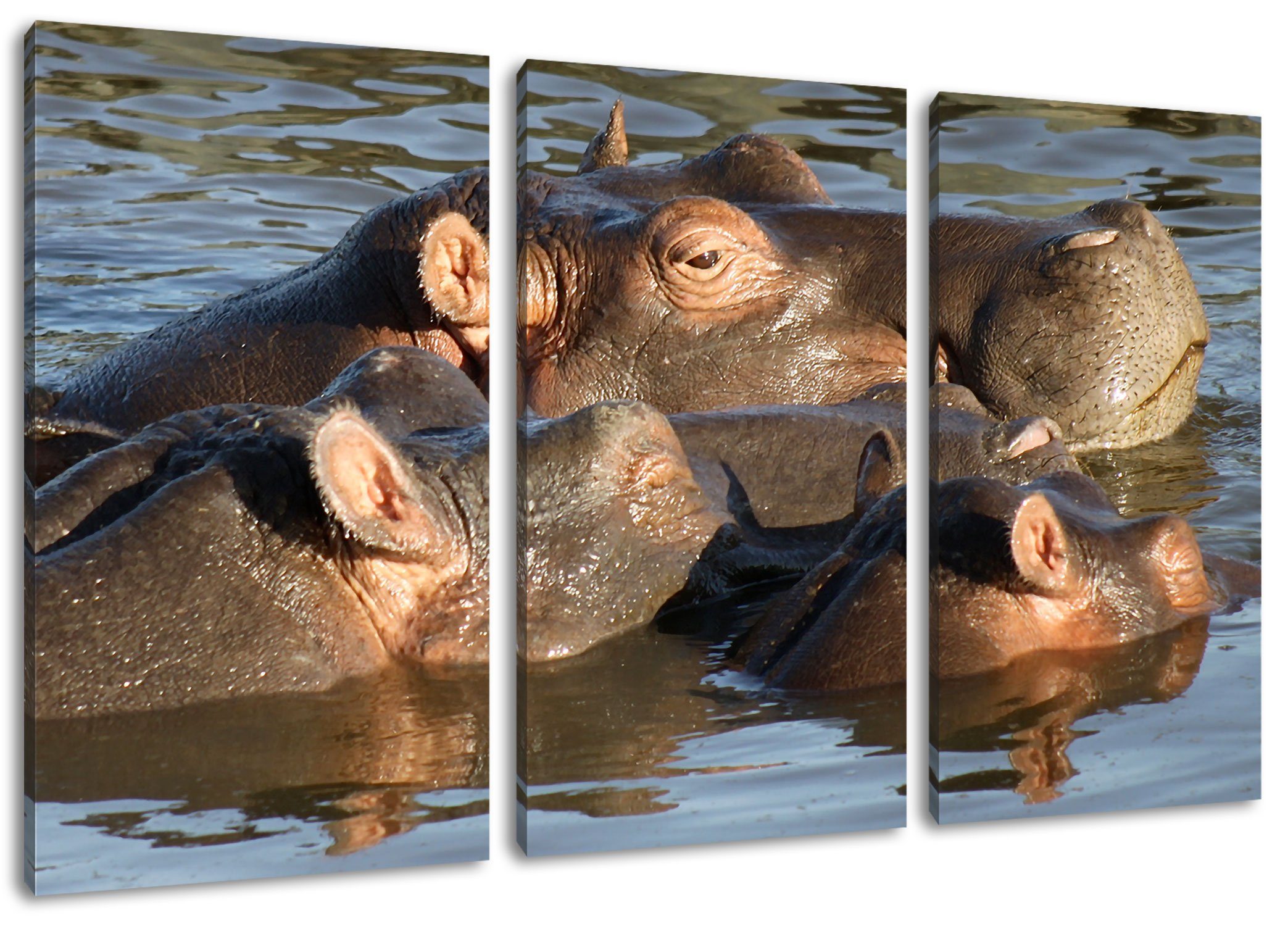 Pixxprint Leinwandbild schwimmende Flusspferdfamilie, schwimmende Flusspferdfamilie 3Teiler (120x80cm) (1 St), Leinwandbild fertig bespannt, inkl. Zackenaufhänger